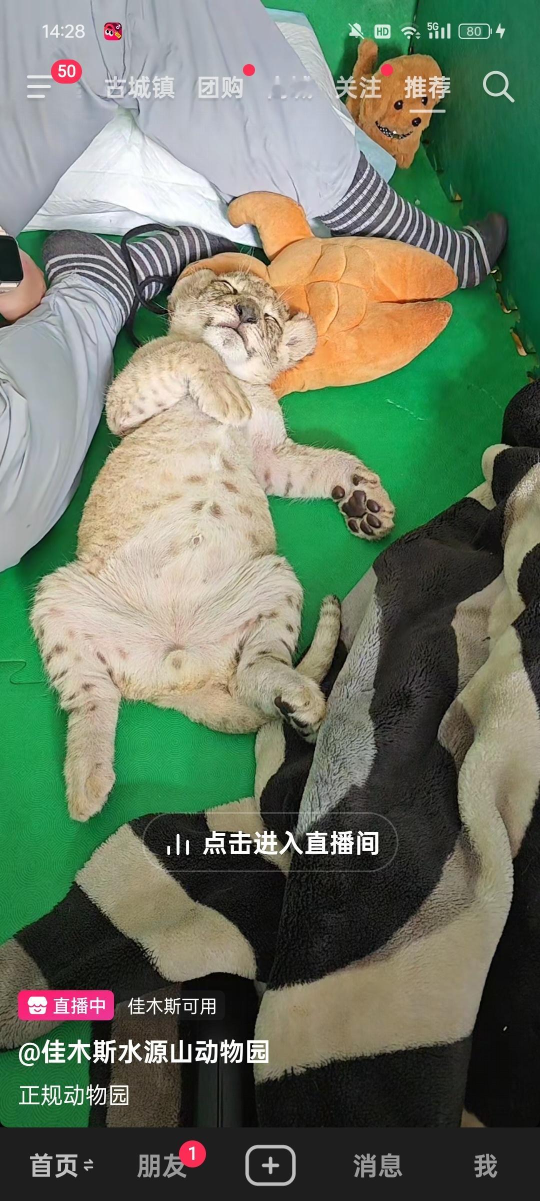 太可爱了啊 