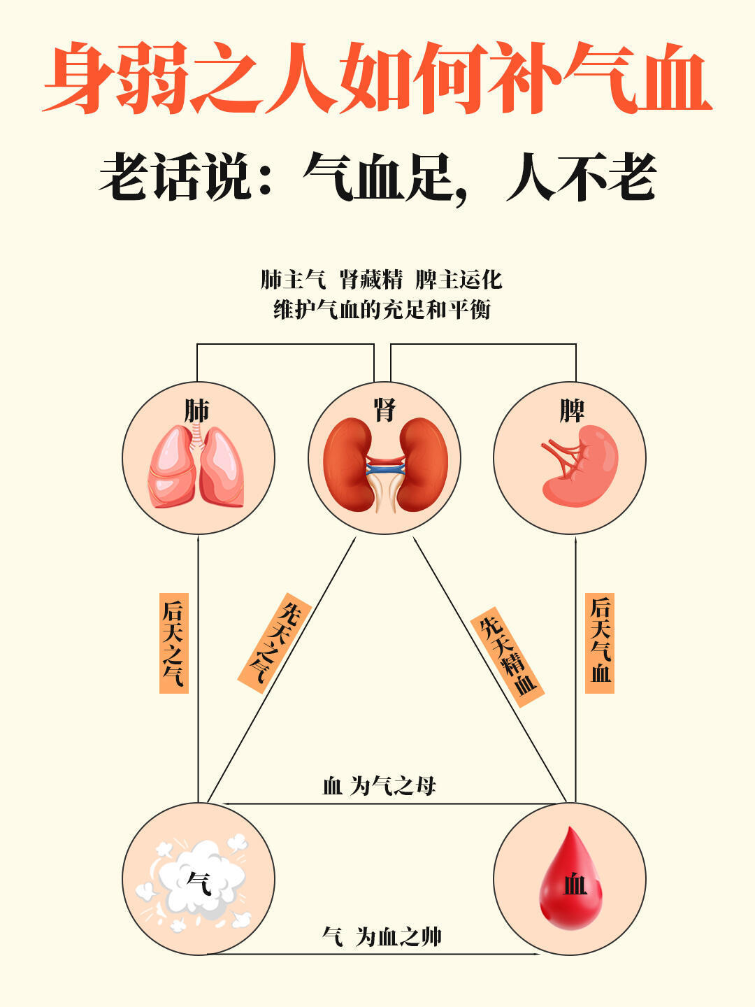 养气血=养命！身弱之人该如何补气血？||老话说：气血足，人不老。健闻登顶计划 气