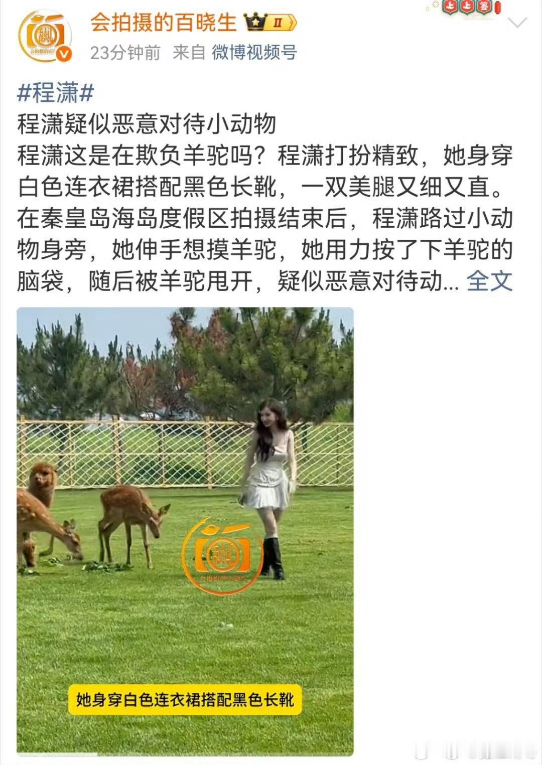 曝程潇疑似欺负羊驼一段互动片段被放大解读，程潇疑似对待羊驼的行为引发网友讨论，到