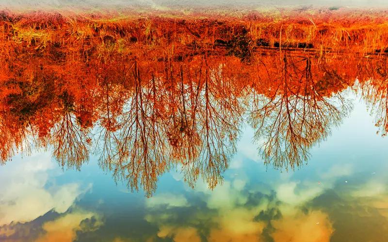 俗话说，身体乃革命的本钱。在秋冬交替之时，这一观点体现得淋漓尽致。随着气温降低，