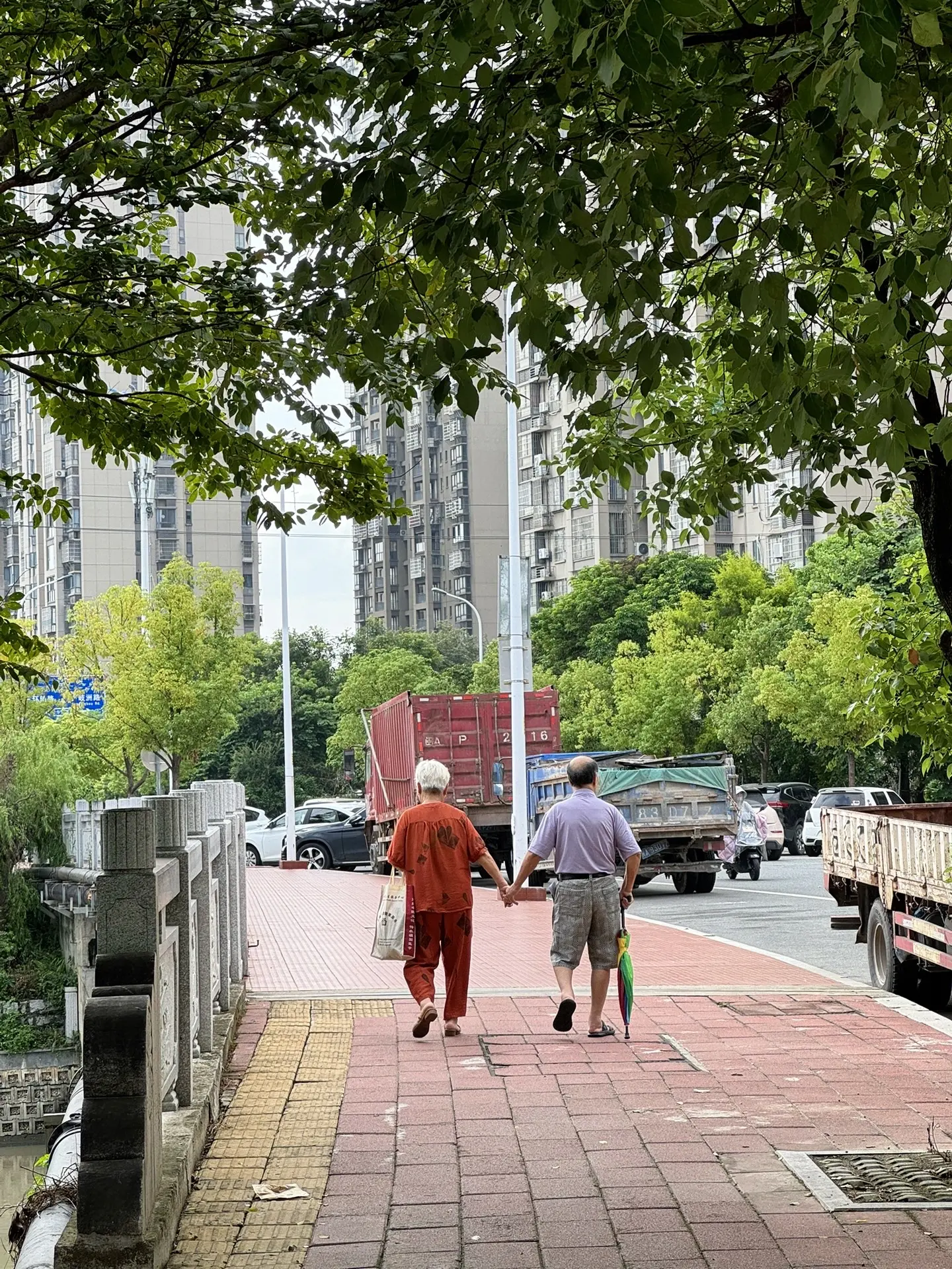 老来多健忘，唯不忘牵你的手。