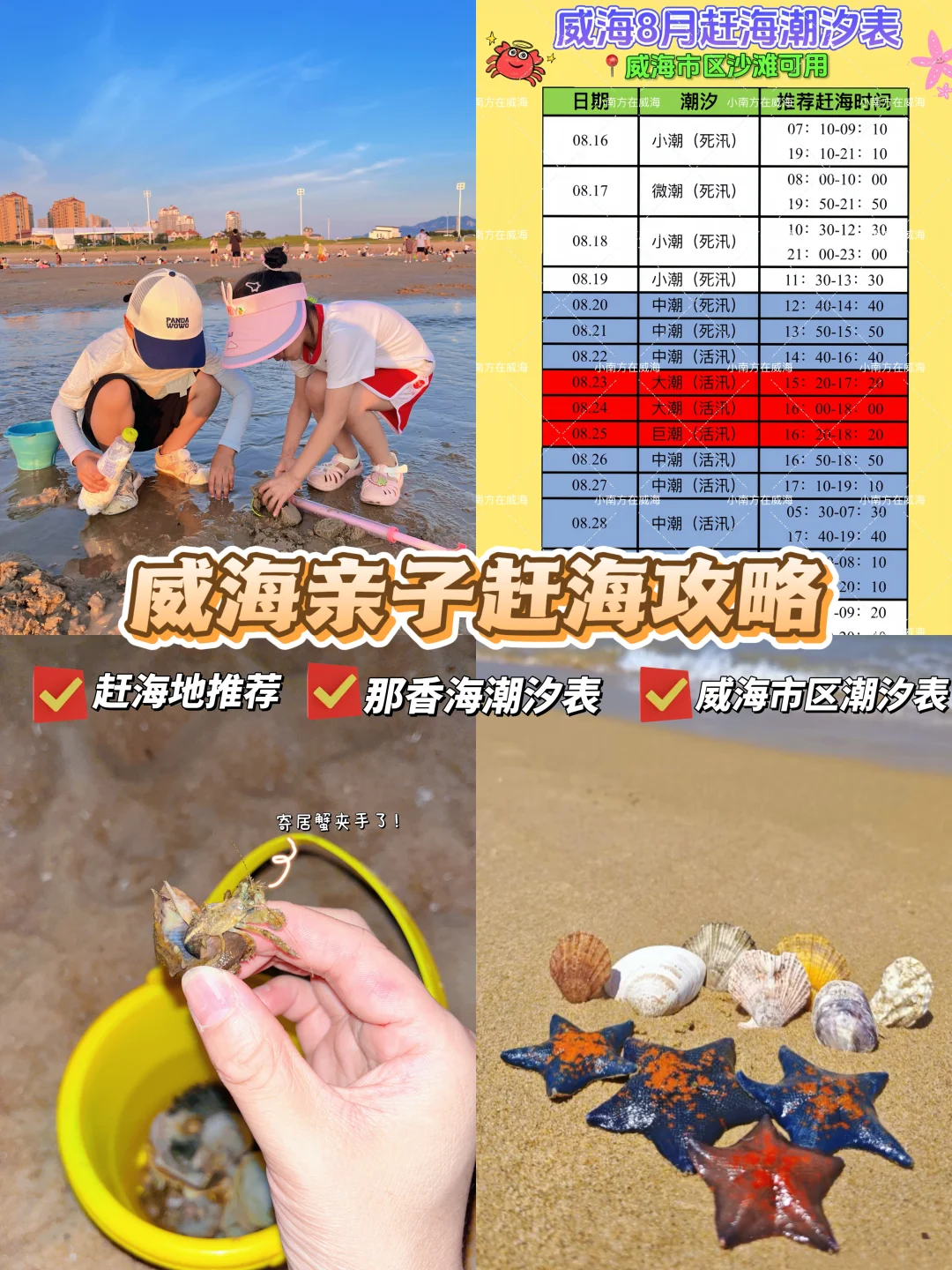带娃3刷威海，这几个赶海地收货真多！