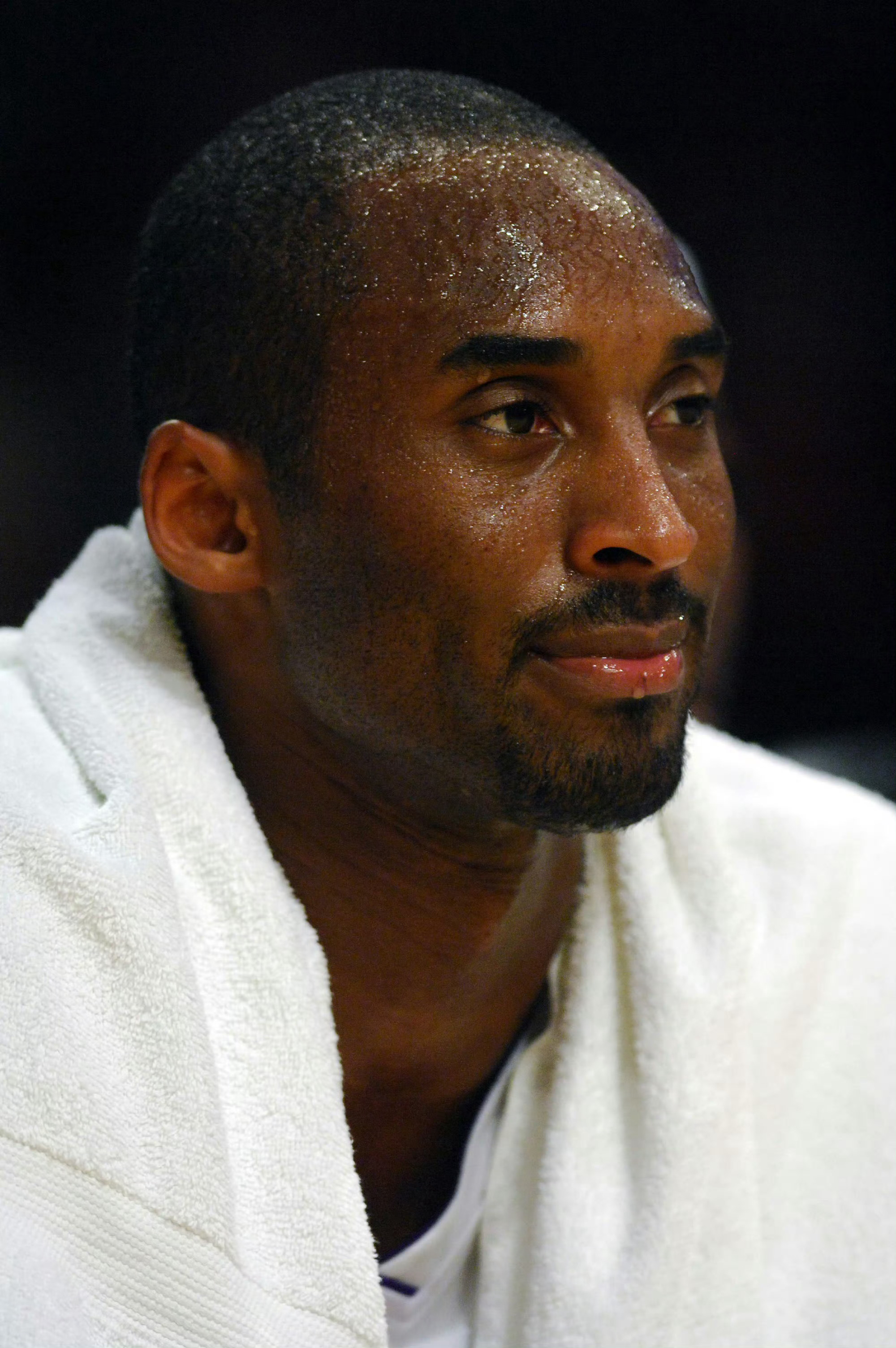 真正想要的东西，不只是踮踮脚尖那么简单，所有的收获，一定要全力以赴的努力才能争取