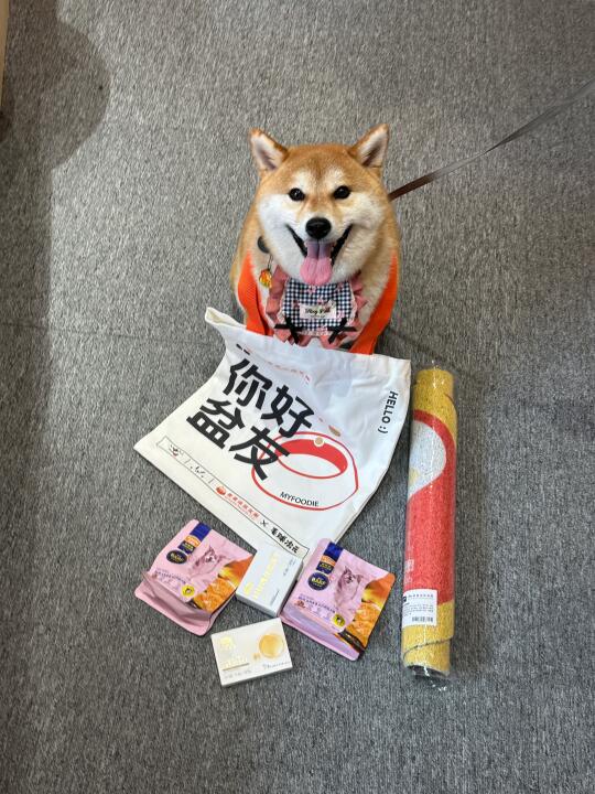 人！你好～我是你的小盆友