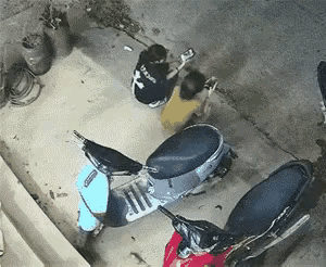 是福不是祸，是祸躲不过。