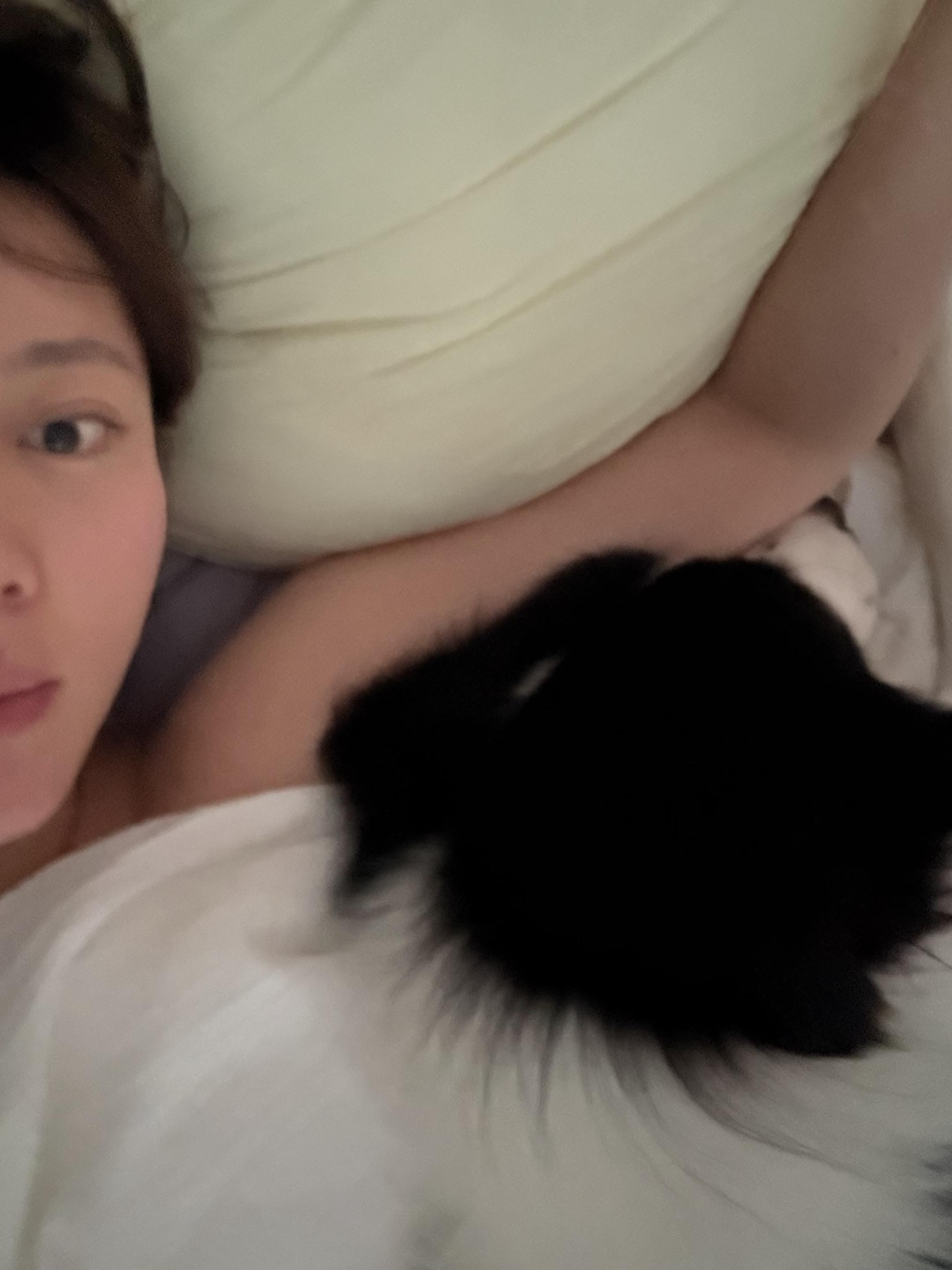 刚洗完澡的香香小狗 勉强让你上个床吧😎