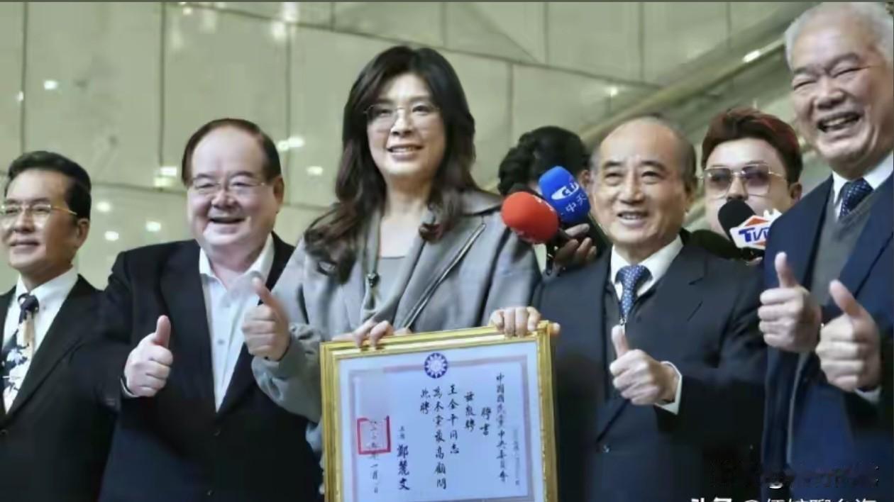 别以为柯志恩平时只是在赵少康的节目中做一下评论员而已，其实她在国民党内部的靠山挺