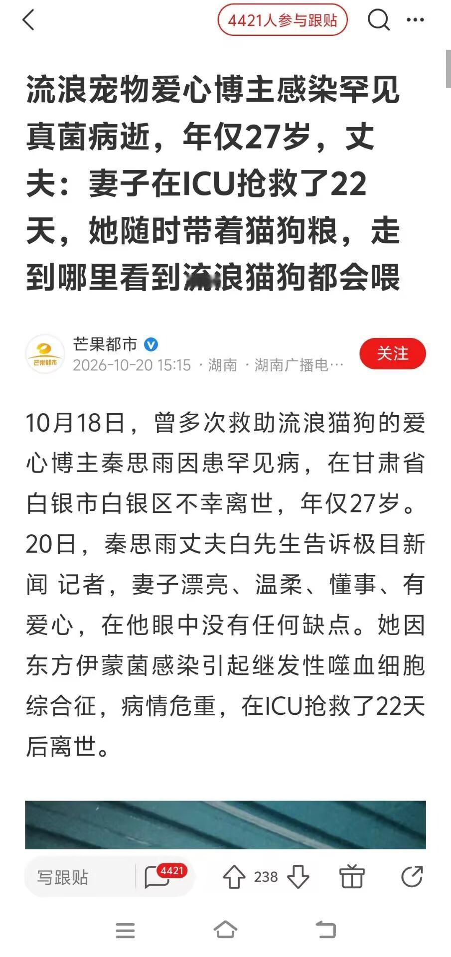 27岁流浪宠物博主感染罕见真菌离世，丈夫：她随时带着猫狗粮，走到哪里看到流浪猫狗