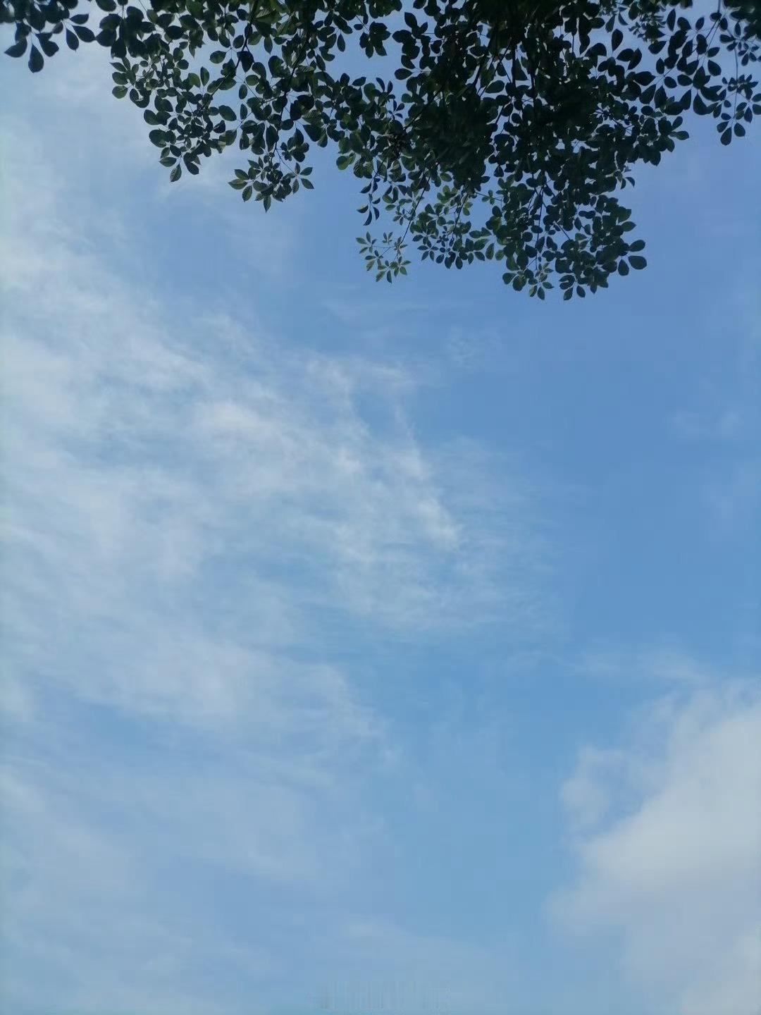 福州福州高考雨水来陪考 今天是高考第一天 ，受华南准静止锋影响福州各地午后有热雷