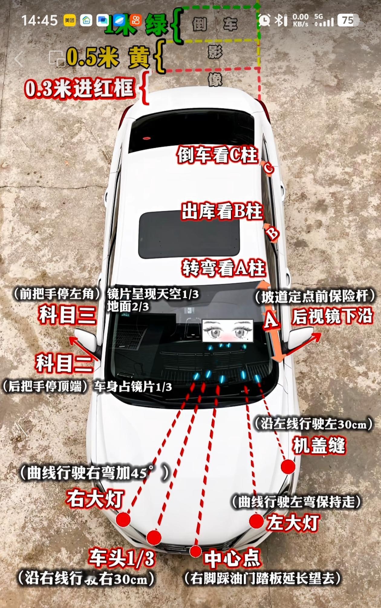 科目二老是压线？科目三总是挂科？新手开车不敢上路？这张“人车合一”秘籍图为你彻底