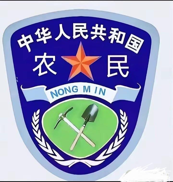 谁发明的？太有才了！假如给农民配上统一服装，戴上这个臂章，下地劳作是不是很带劲？
