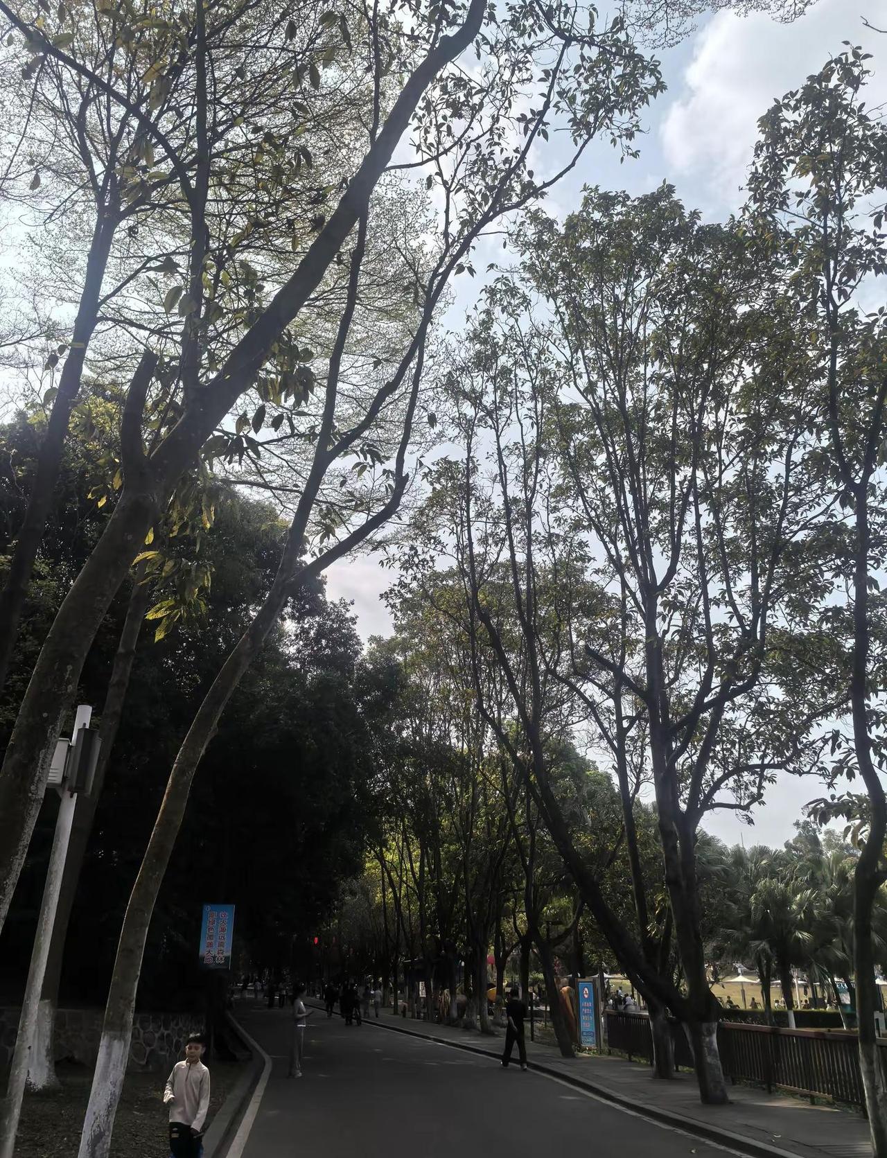 ～安静的活着，做自己该做的事，不急不燥，不慌不乱，稳稳的前行，活在当下～