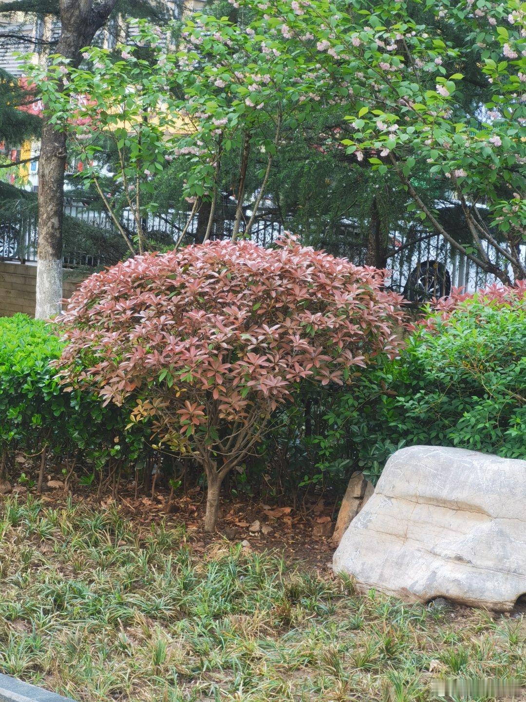 陶汉林续约俱乐部需借网络之力近日，地方媒体对陶汉林进行采访，将续约问题公之于众。
