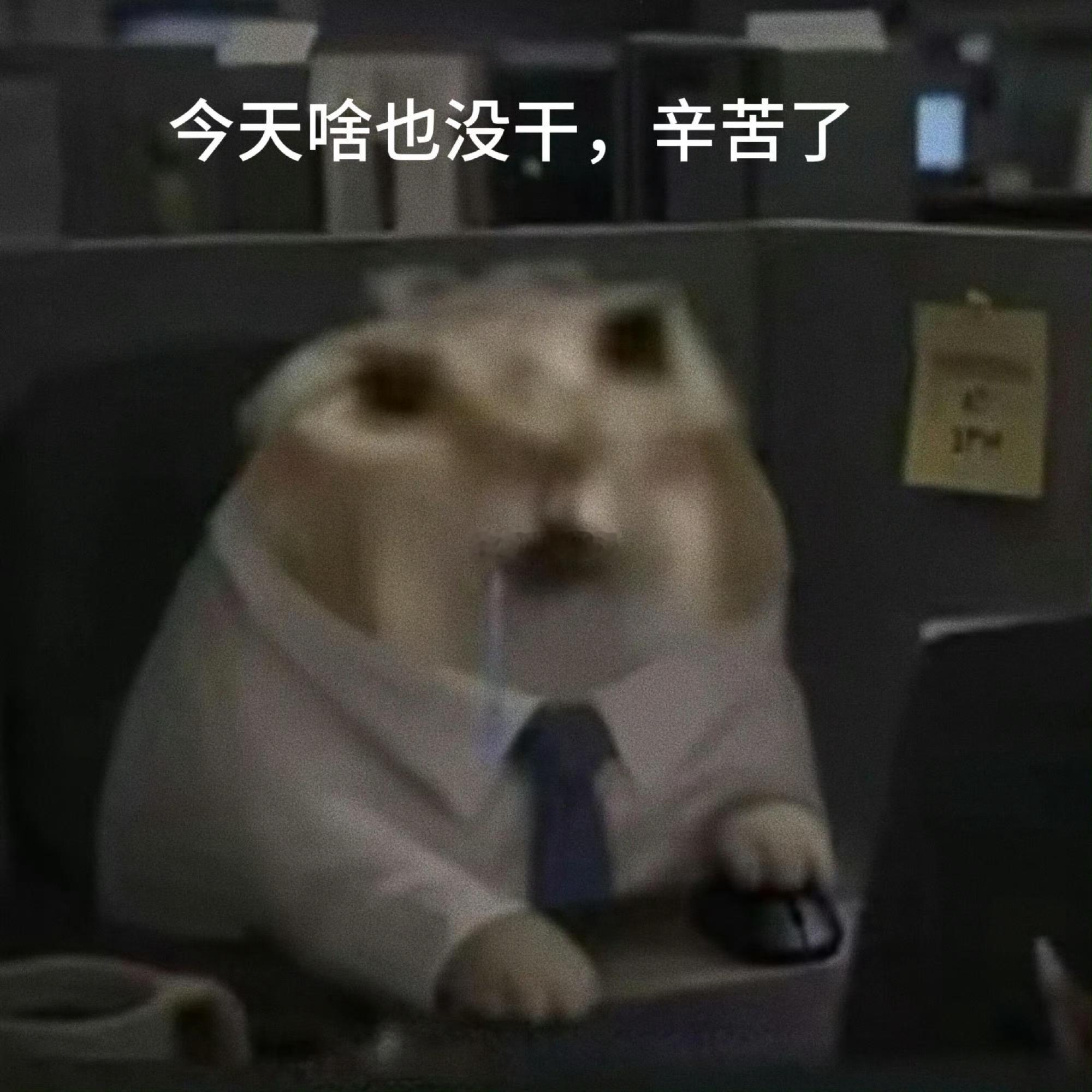 我俩算了一下每个月开销 结果刚算就急眼了：怎么花了这么多钱 算了 不算了（装看不