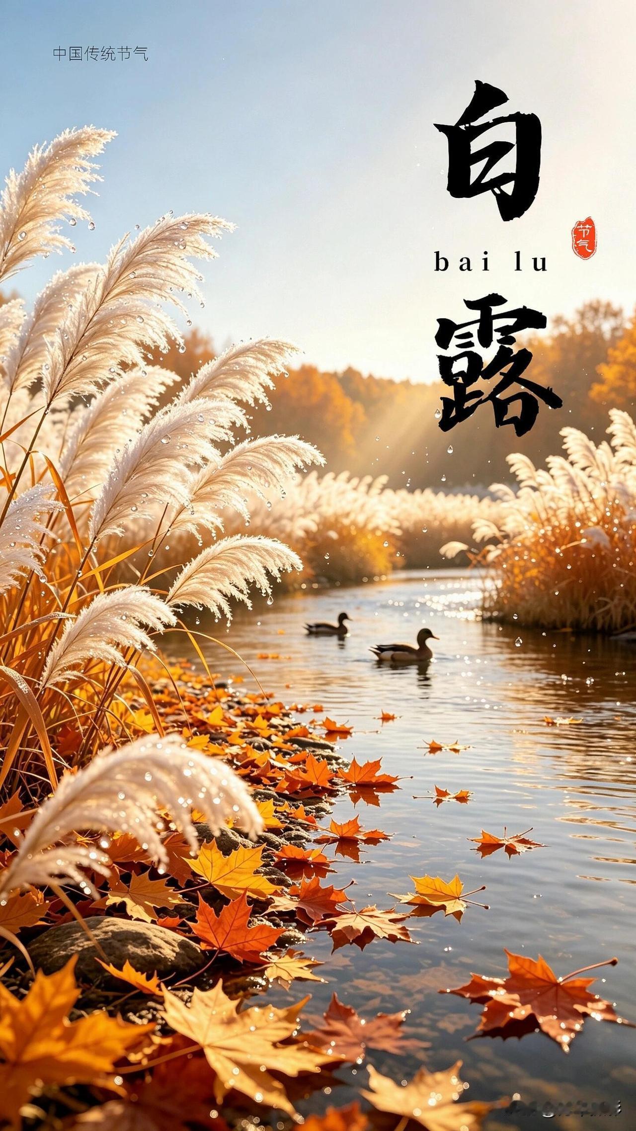一夜白露，一夜秋凉。
当清晨的露珠凝结在青草叶尖，风褪去盛夏的燥热，天地间正式迎