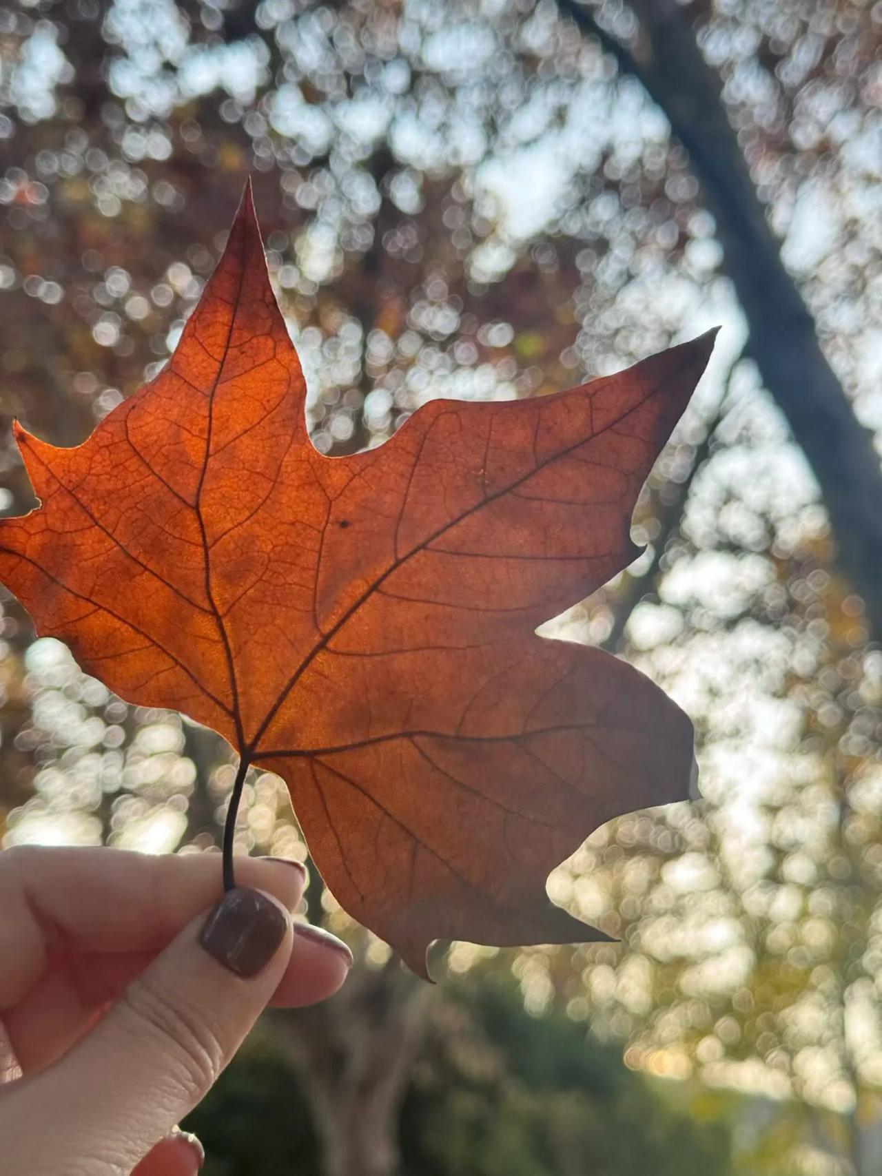 为了姓氏而争吵，还用离婚兑现不值得，还是双方都为对方考虑，好好的家不要散了，姓名