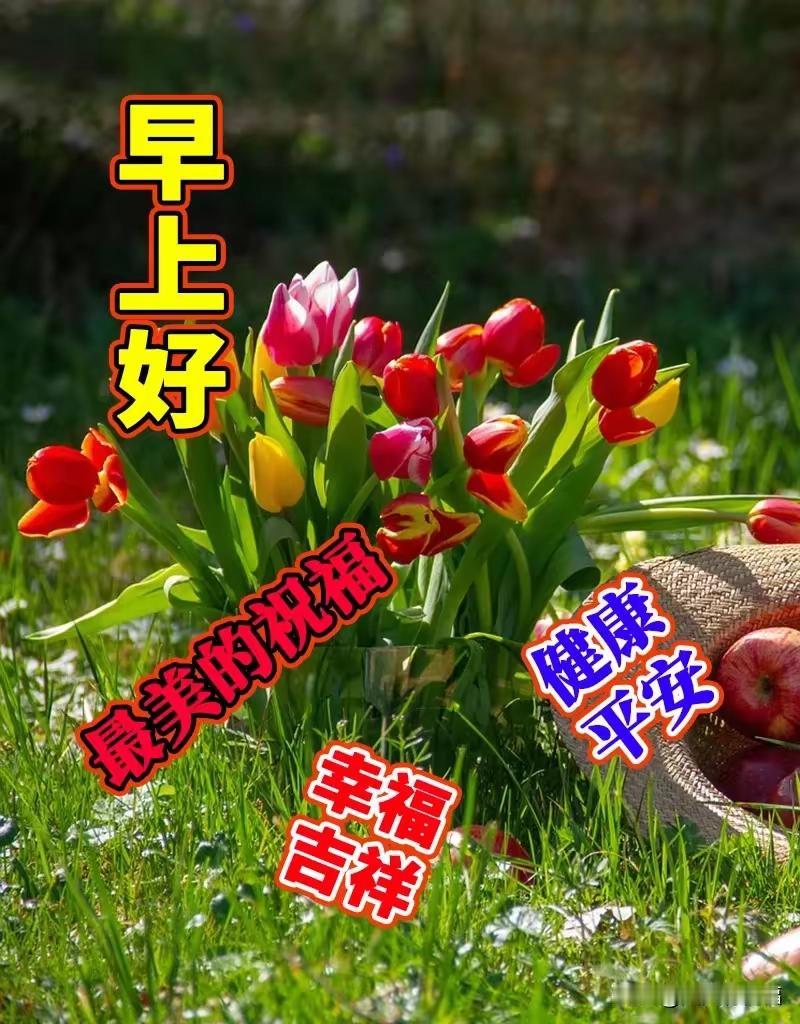 分享早晨的祝福语早安！问候天天到，祝福日日报，健康年年好，笑容时时俏。真情重如山