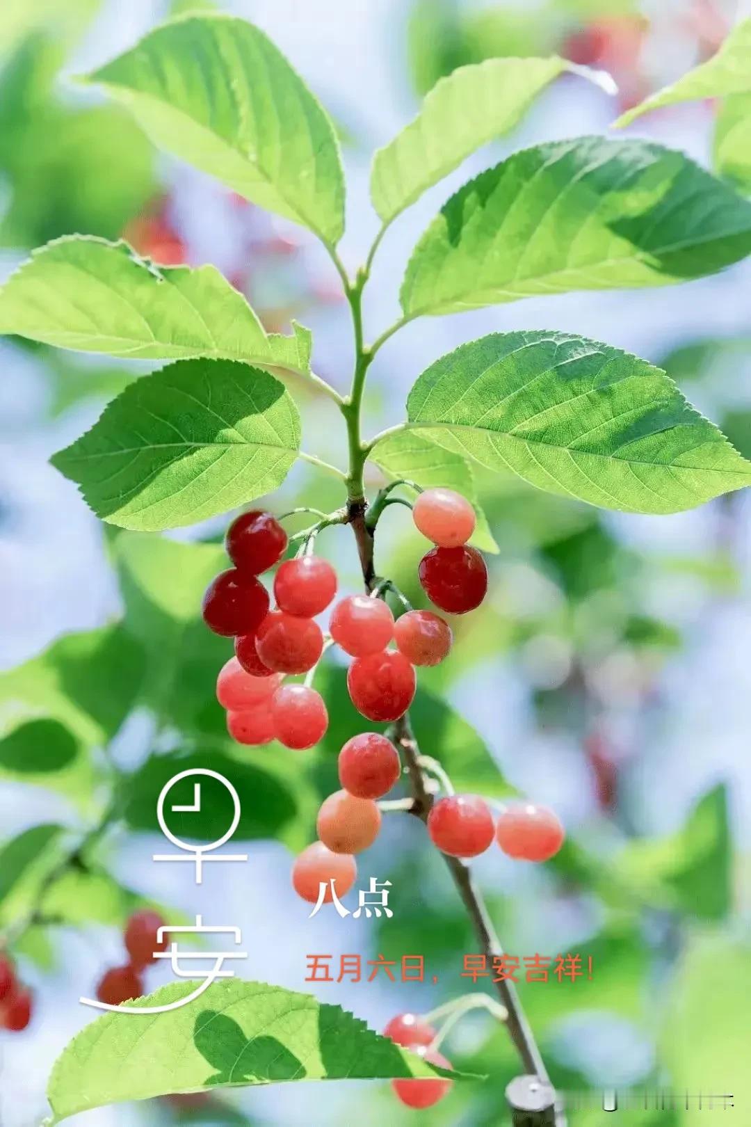五月六日，早安吉祥！