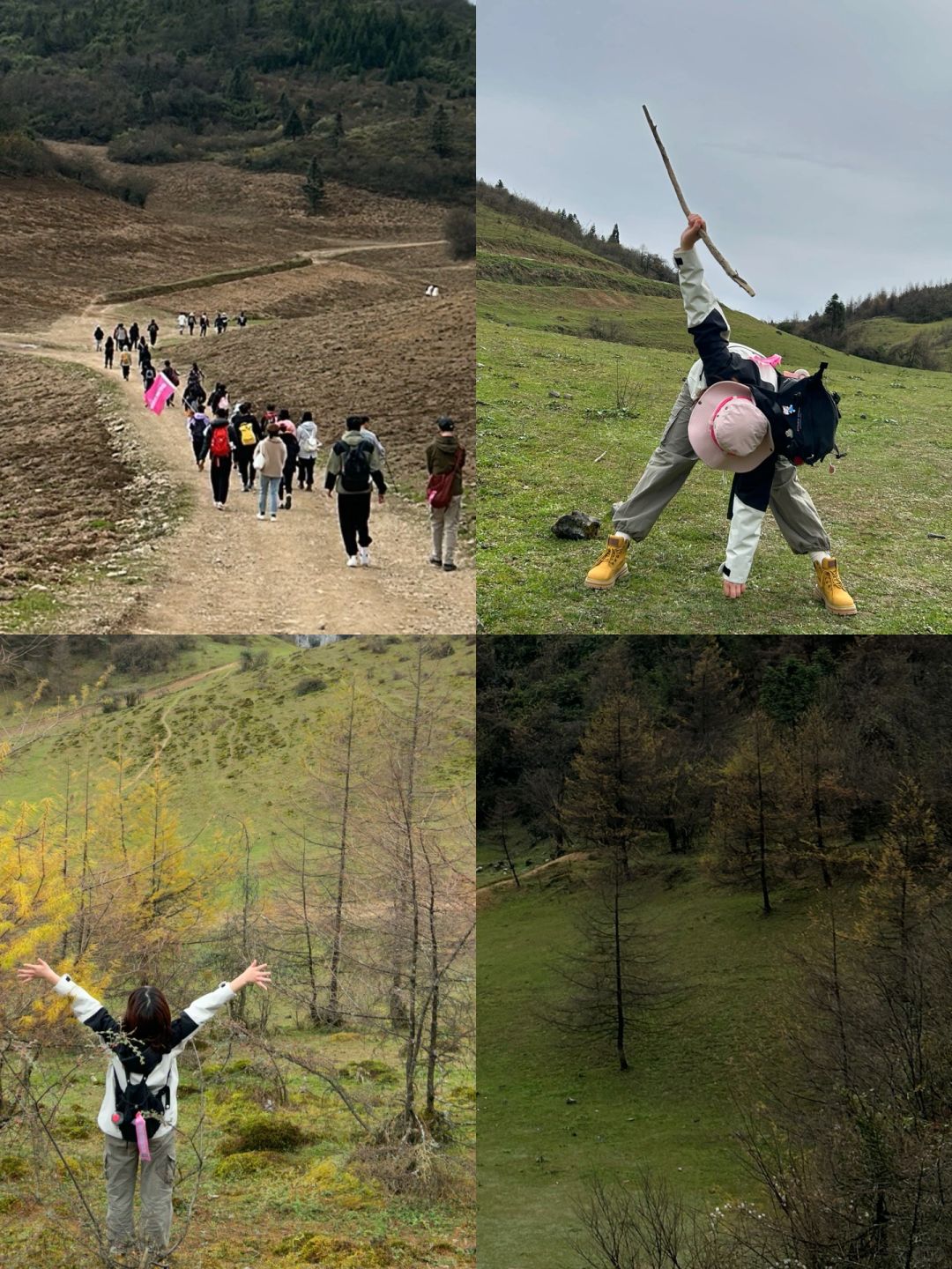 11.18号 七鹿坪实况 有点美 但不多～