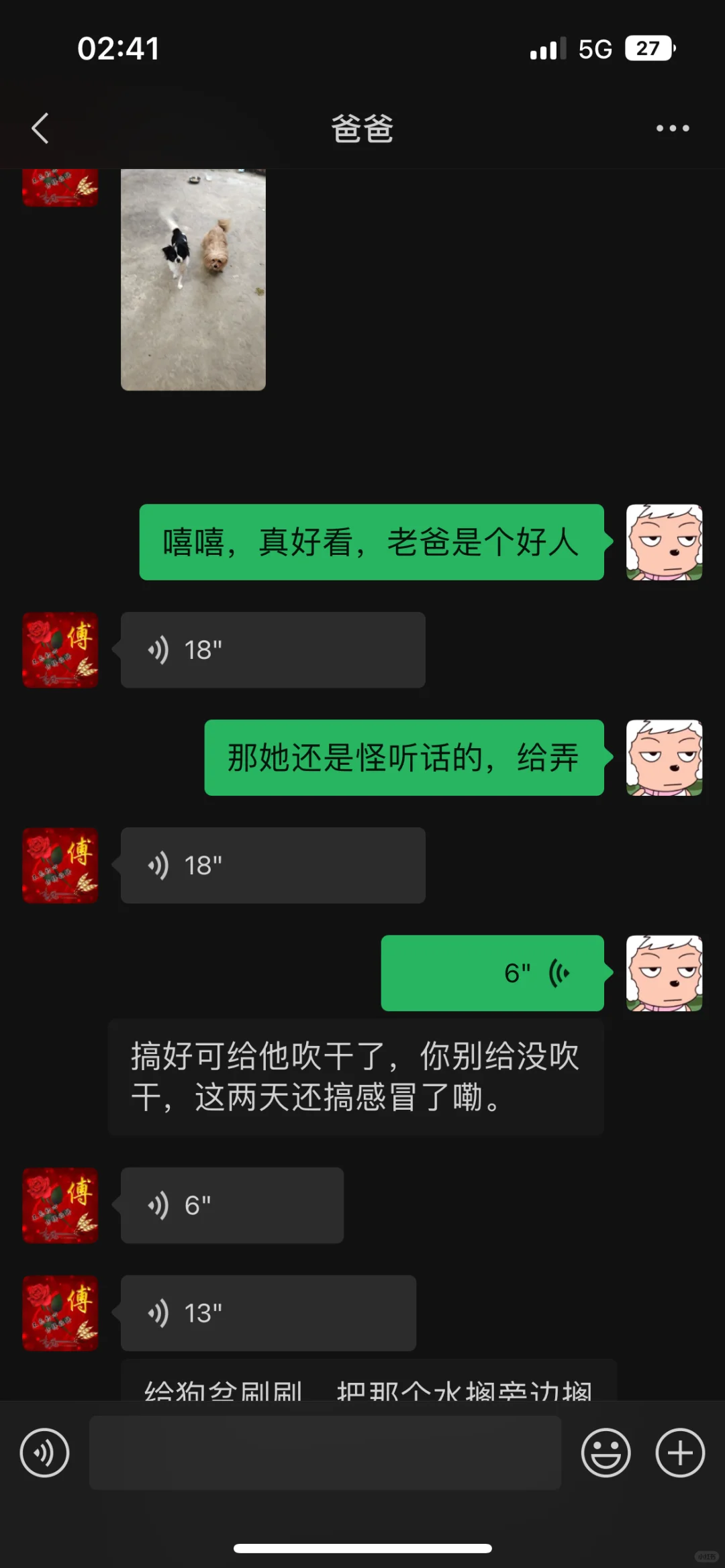 后续：老爸把脏狗洗干净了，也剪了刘海