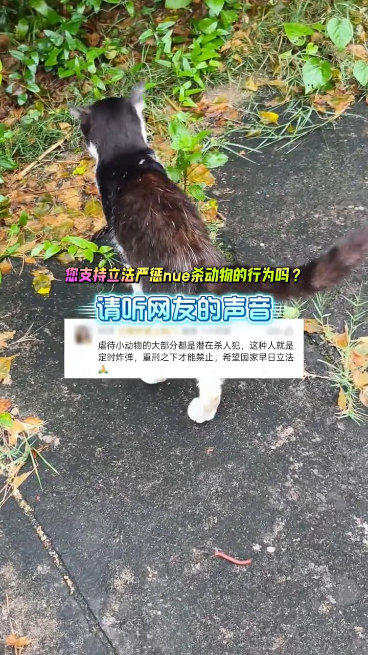 您支持立法严惩nue杀动物的行为吗？请听网友的声音。
虐待小动物的大部分都是潜在