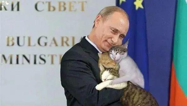 普京大帝竟是一个“猫奴”！对猫猫的爱已达痴汉境界的他，对猫咪万般宠爱，尽显铁汉柔