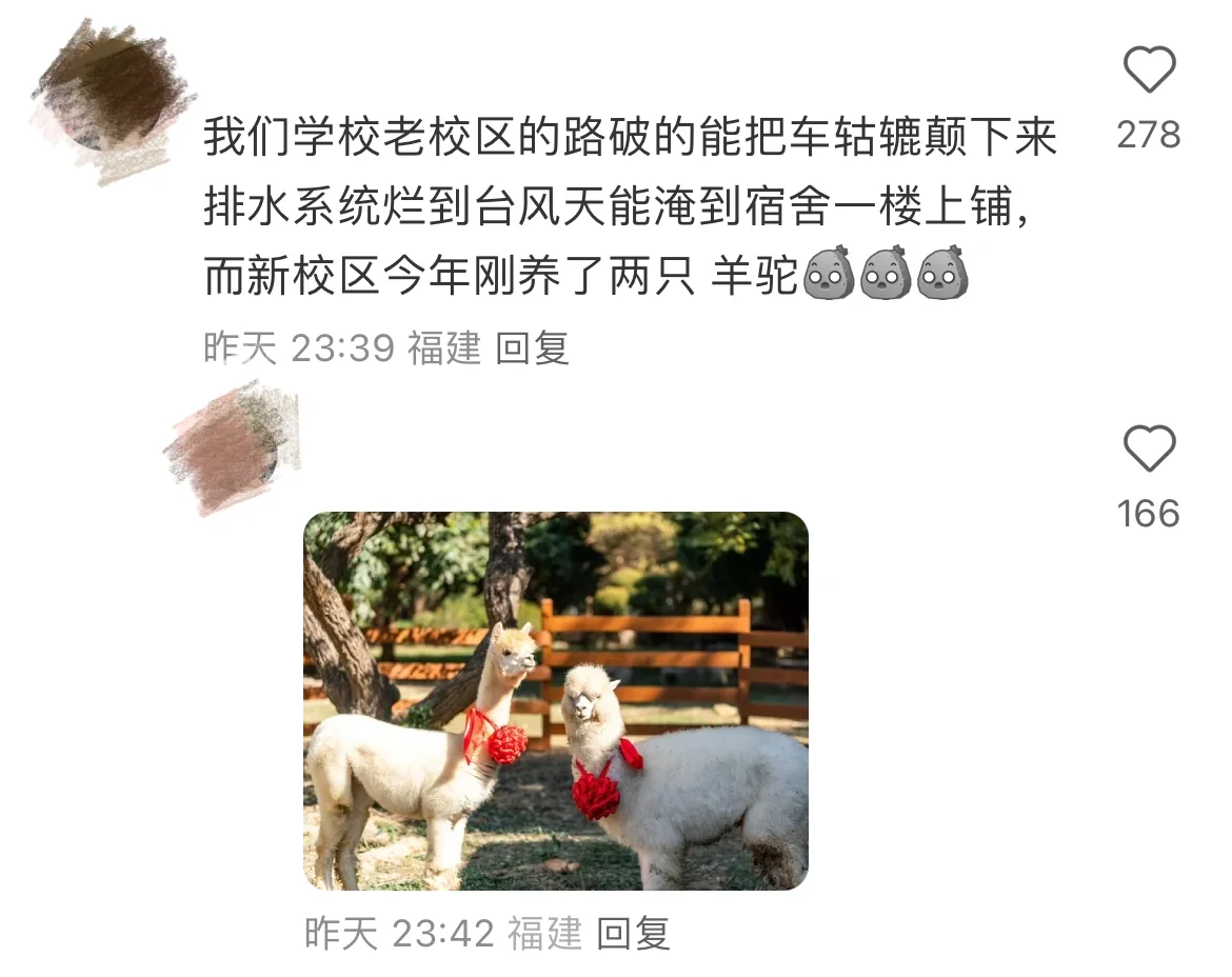 那些学校的骚操作，太迷惑了