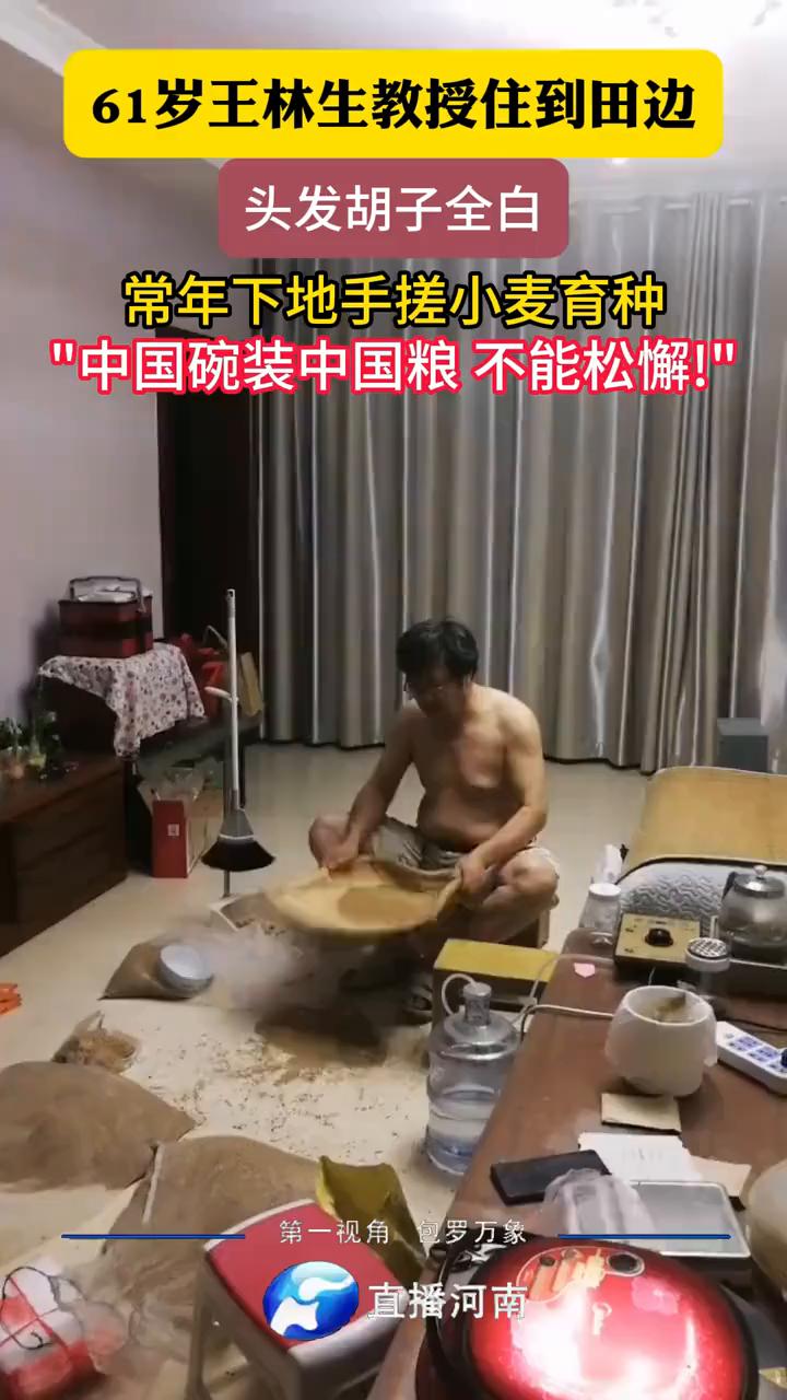 61岁王林生教授住到田边，头发胡子全白，常年下地手搓小麦育种。
美丽浙江。
7月