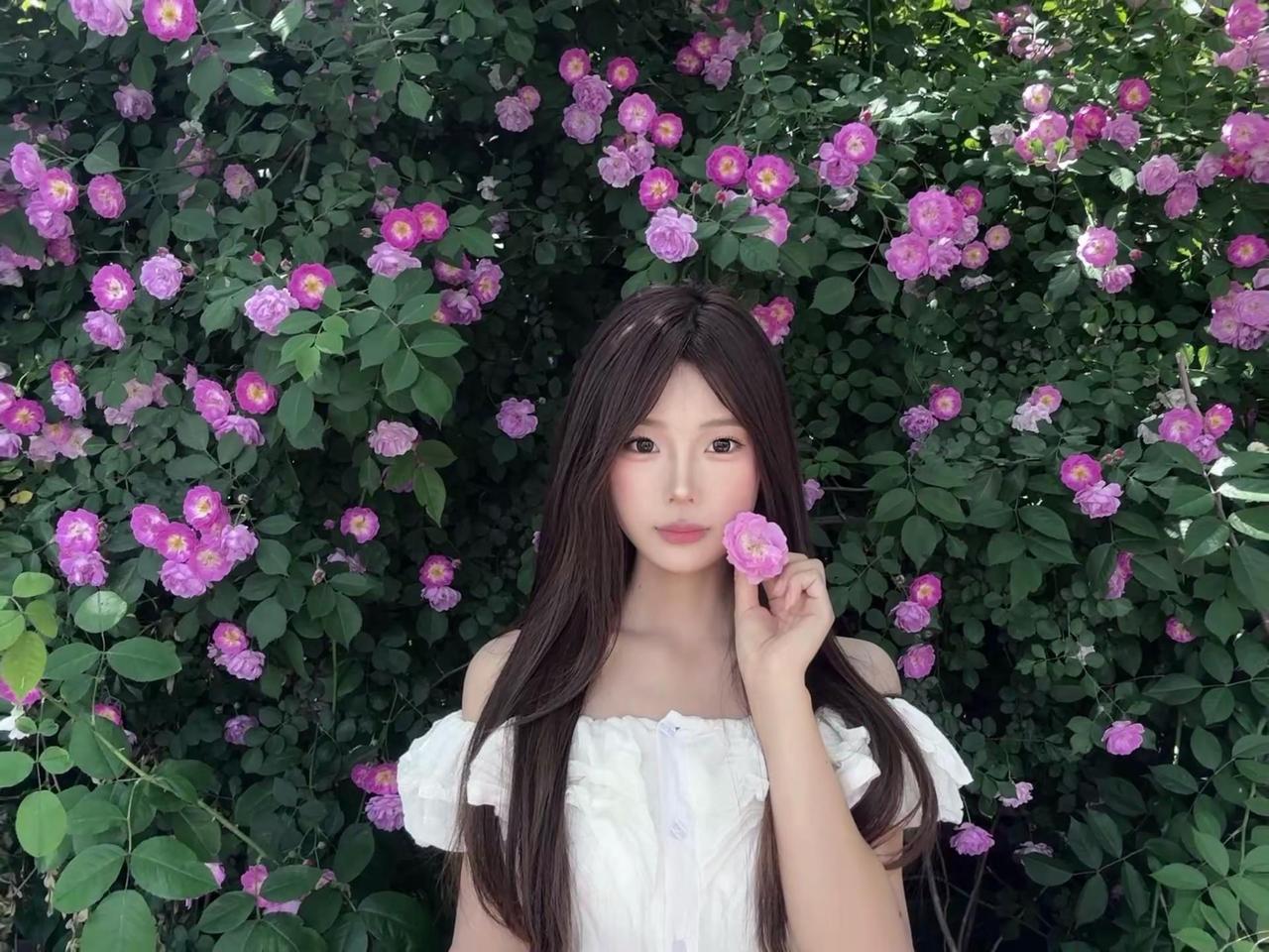 你的眼睛装了一整个春天 或许你比春天还要连绵春蔷薇花