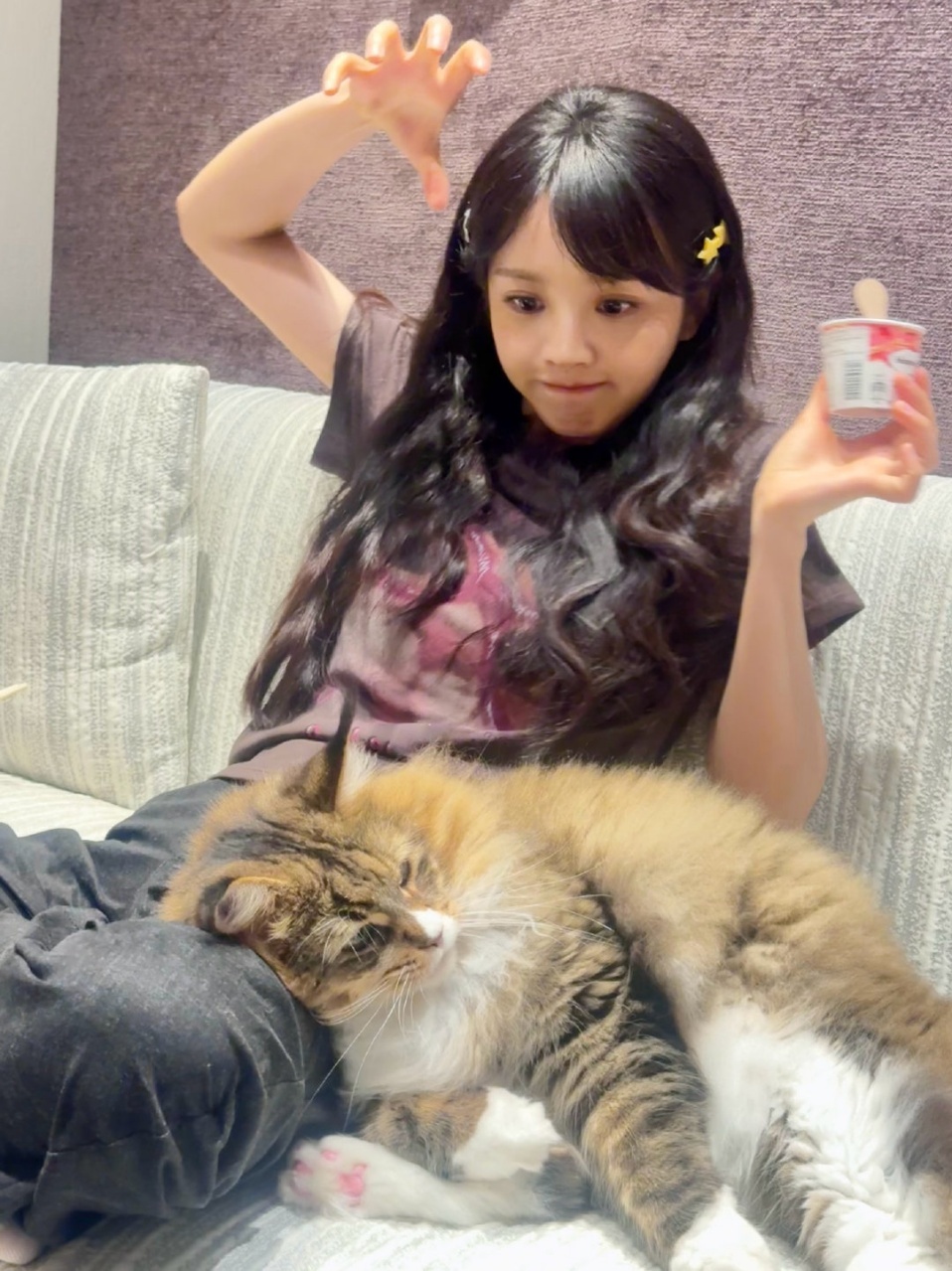 田曦薇[超话]田曦薇和猫猫合照 ​​​田曦薇日常四宫格plog田曦薇晒和猫猫合照
