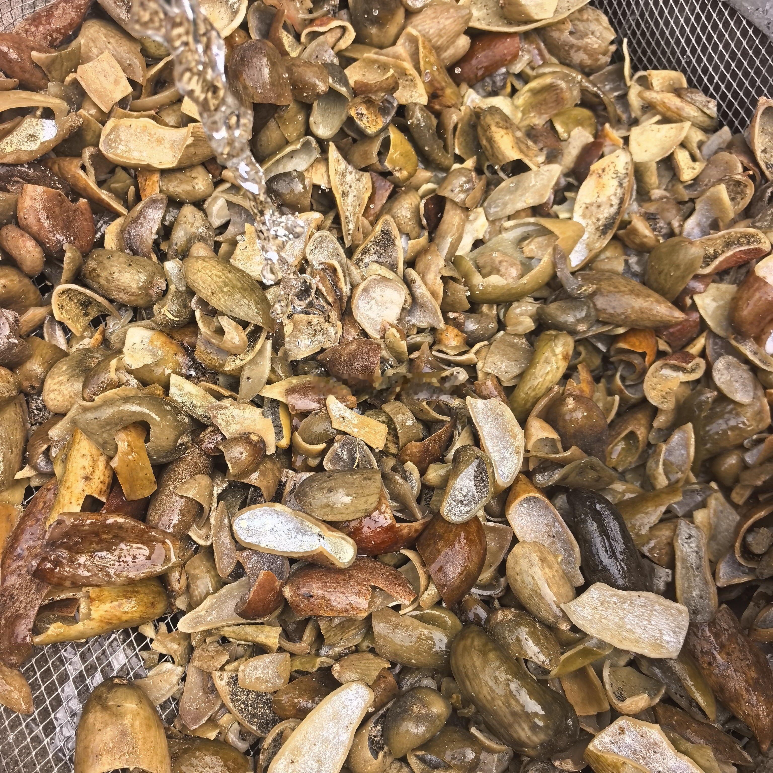 发酵类中药，极具有挑战性，也是很有意思的一类，看着都会，一做就废，即便没废，也有