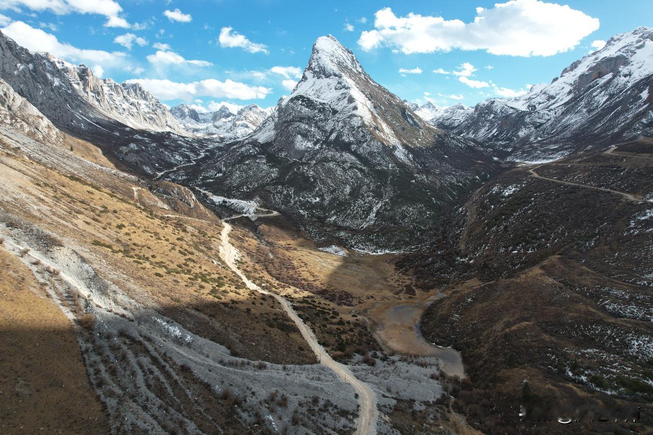 冬日生活打卡季