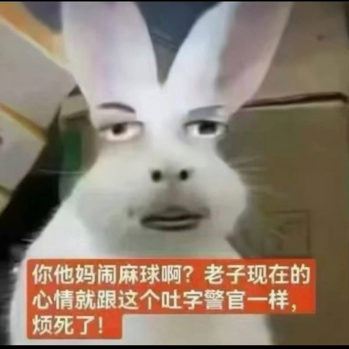 分享图片 ​​​