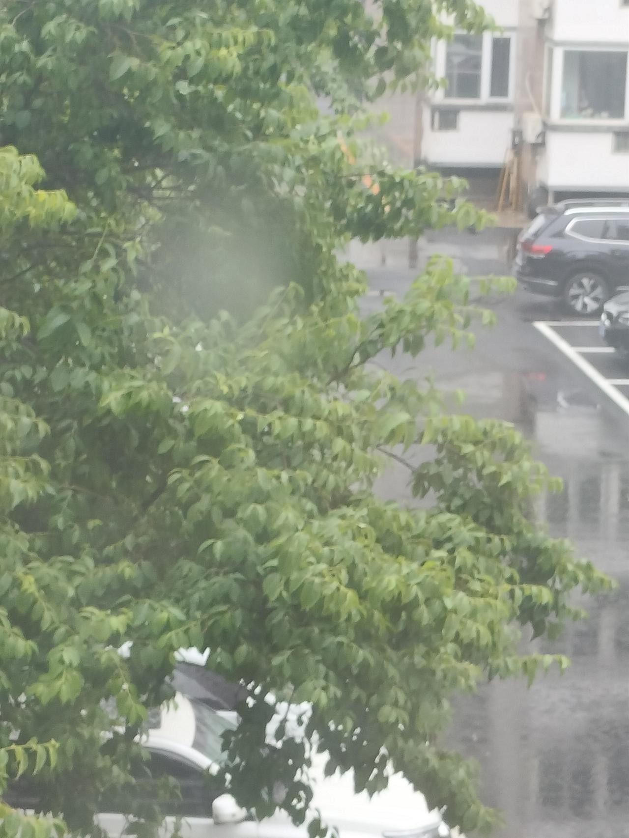 我的今日状态：😁轻松愉快
我这里的天气：🌧下雨