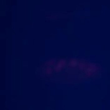 #王心凌[超话]#各位早上好呀，羡慕昨天在广州现场的凌宝[苦涩]可惜了没有安排好