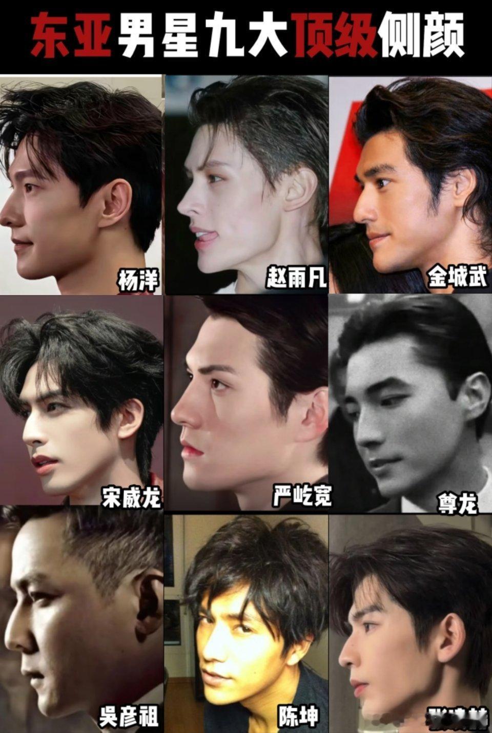 东亚男星顶级侧颜是这九位吗？怎么没有龚俊 刘学义 蔡徐坤 范丞丞等人 