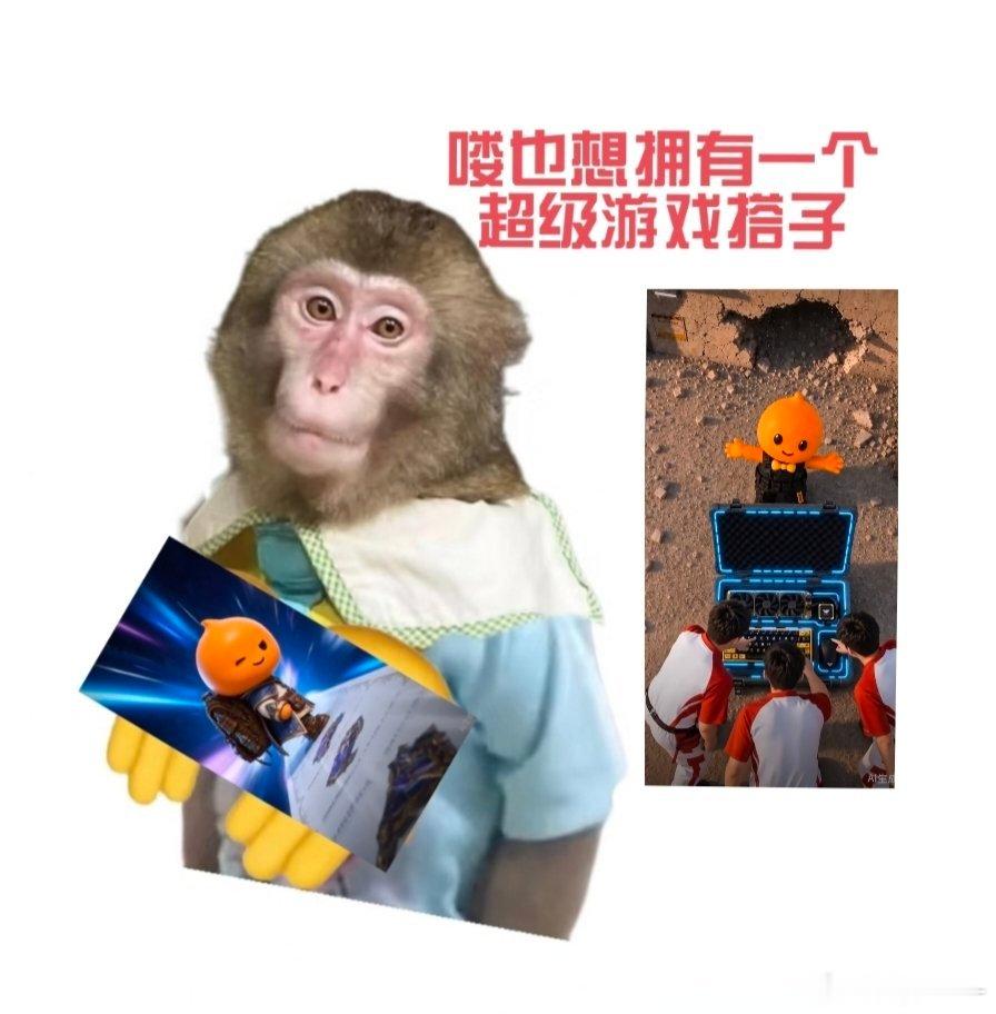 AG首场对战VITAGEWC首战取胜，对局里超多高光操作值得反复回看！准备桌面小