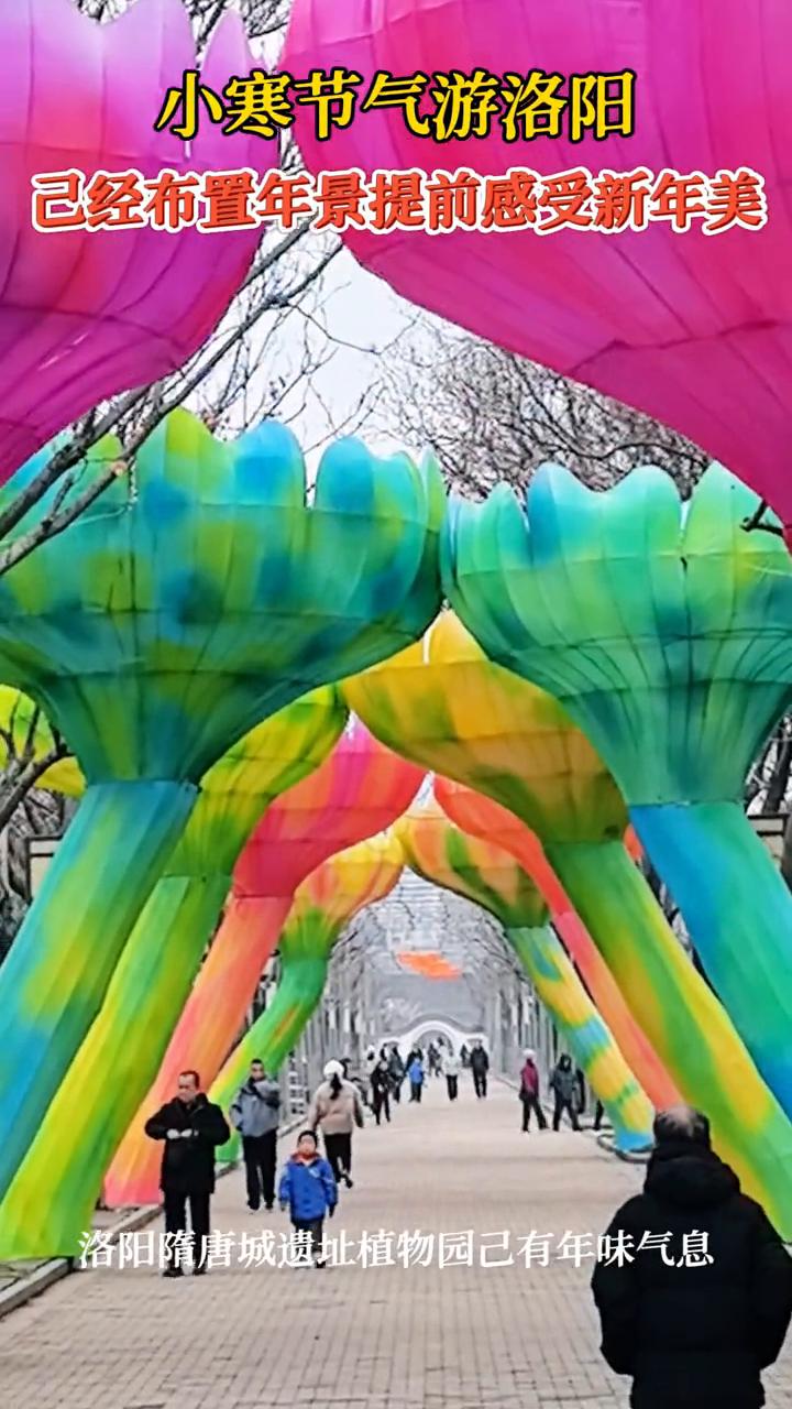 小寒节气游洛阳，已经布置年景，提前感受新年美。
洛阳隋唐城遗址植物园己有年味气息