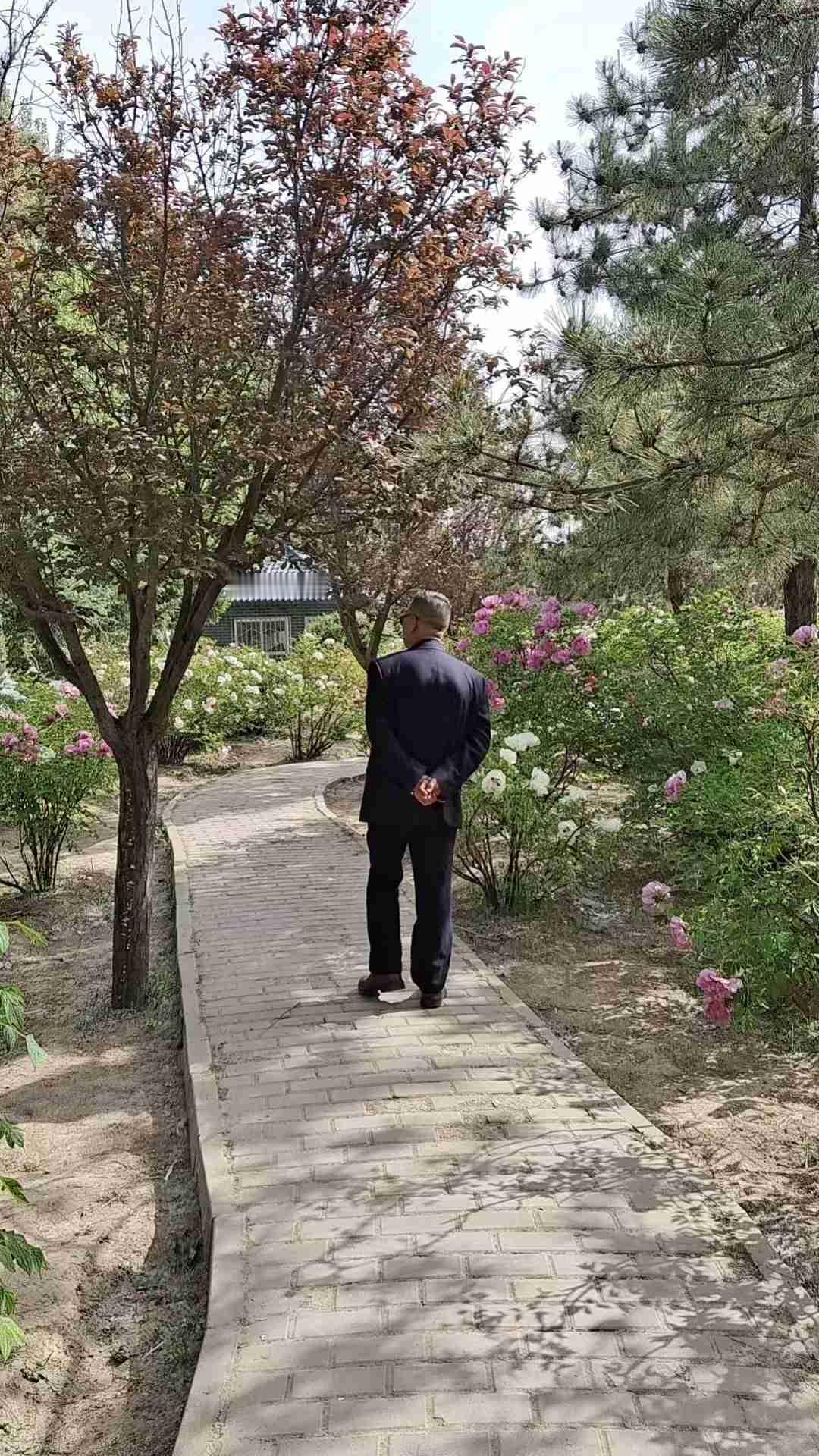 我的今日状态：😁轻松愉快
我这里的天气：☀️晴天今天与老友逛了一圈牡丹公园，欣