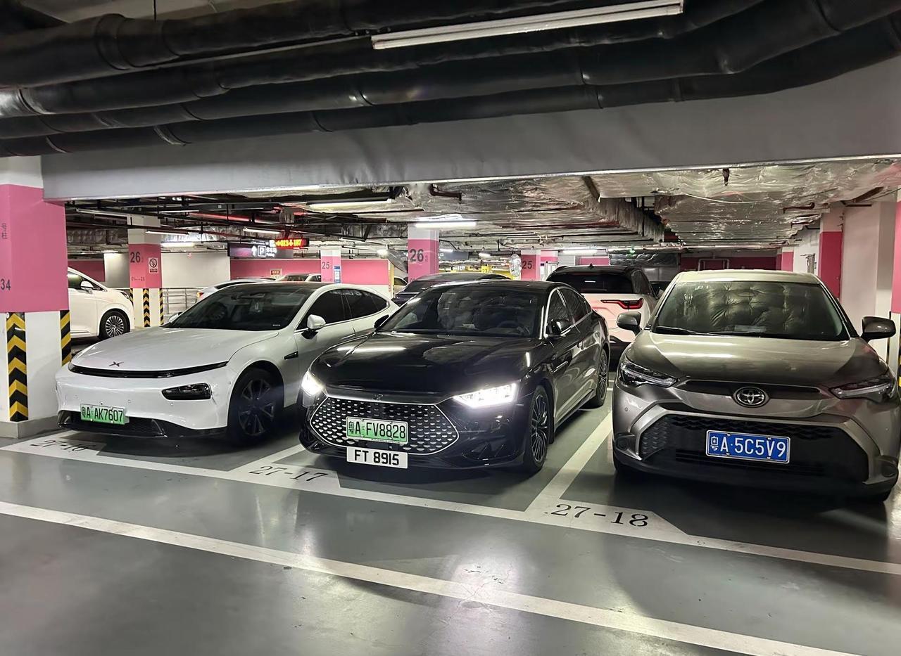 今日起车牌正式生效🙈 口岸备案信息可查🫡 粤车南下