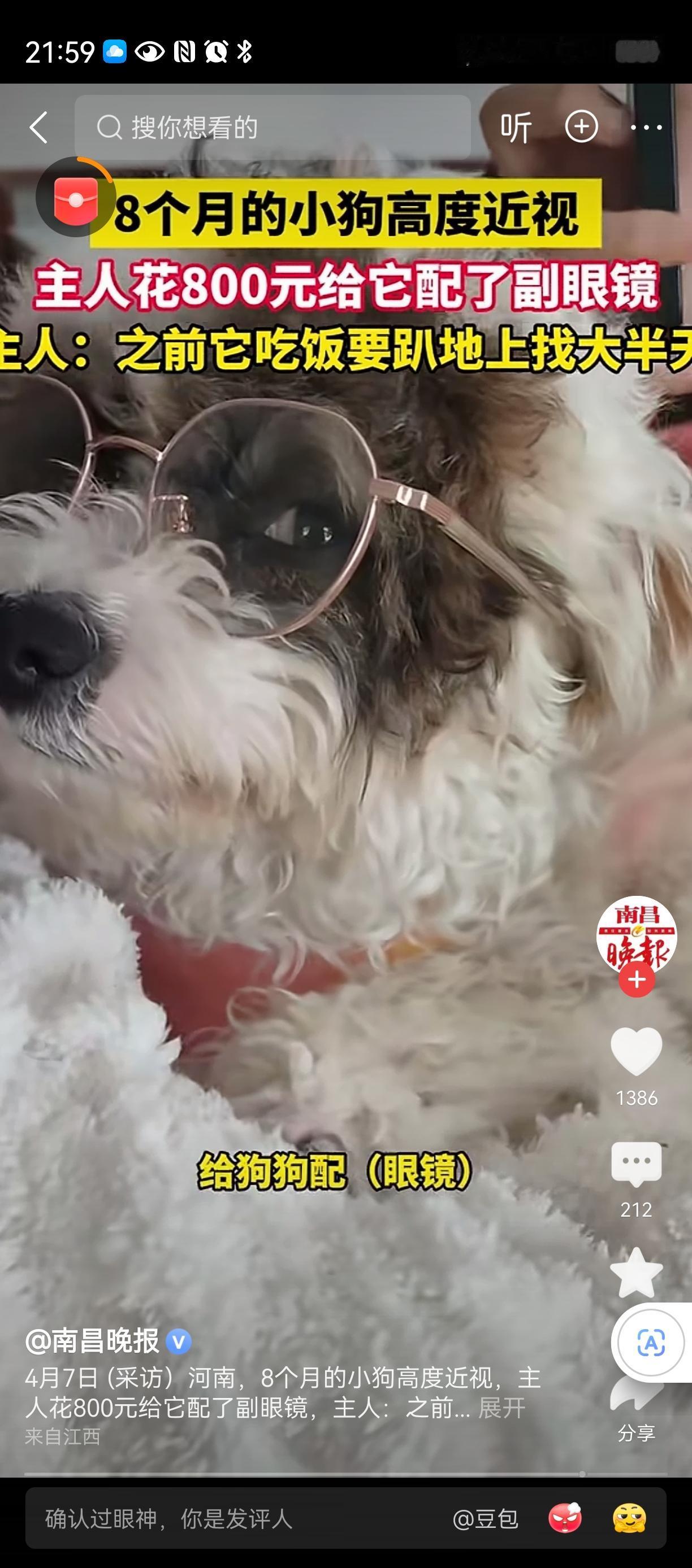 人不如狗人生就是磨难，你认可吗 
狗都可以轻轻松松八百块眼睛，
吃的狗粮也贵，