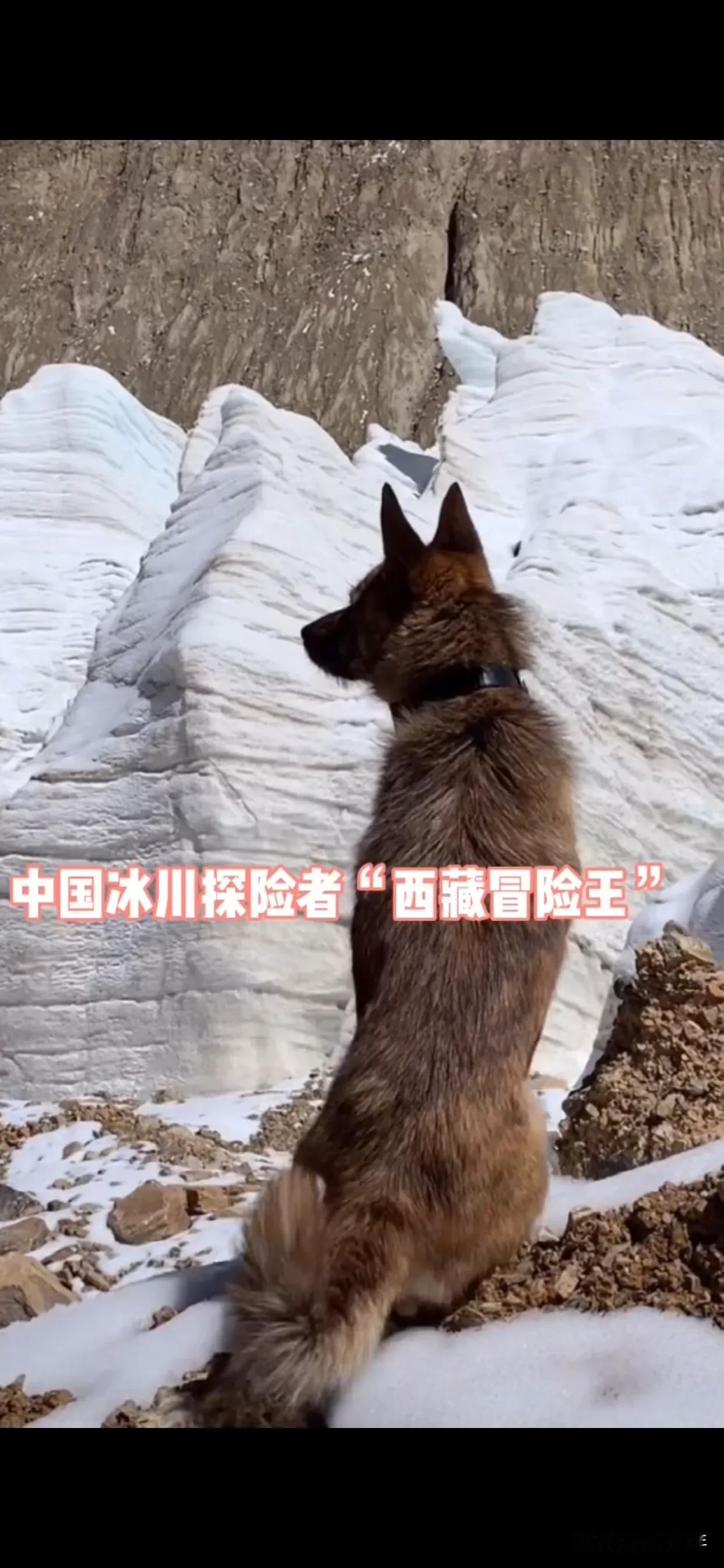 西藏冒险王，就这样永远长眠于西藏的冰川最底下，每天守着他的视频看，不知不觉已经成