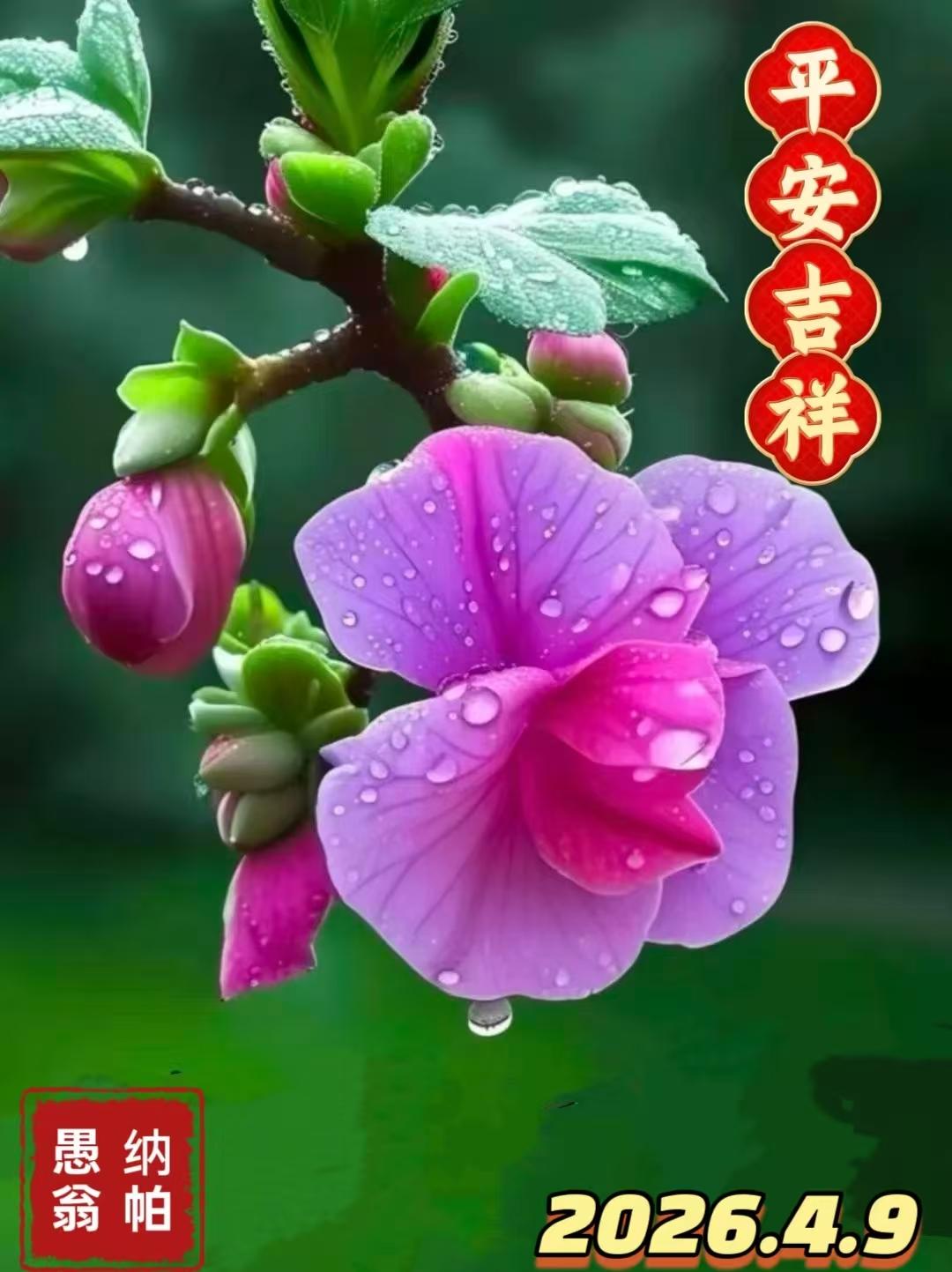 巜七律.赠友》
 
晓露凝香缀紫英，春枝含韵自娉婷。
风梳翠叶添清趣，雨润芳苞焕