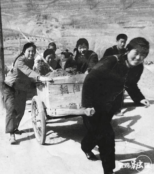 七绝·赞冯家山水库建设之朝阳铁姑娘战斗队
王天云（宝鸡）
二八芳华斗志昂，车轮昼