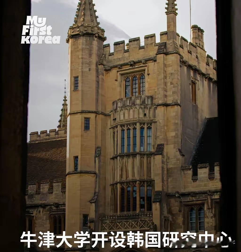 是不是给钱了！
牛津大学将开设韩国研究中心，
2026年10月启动。
发现这些外