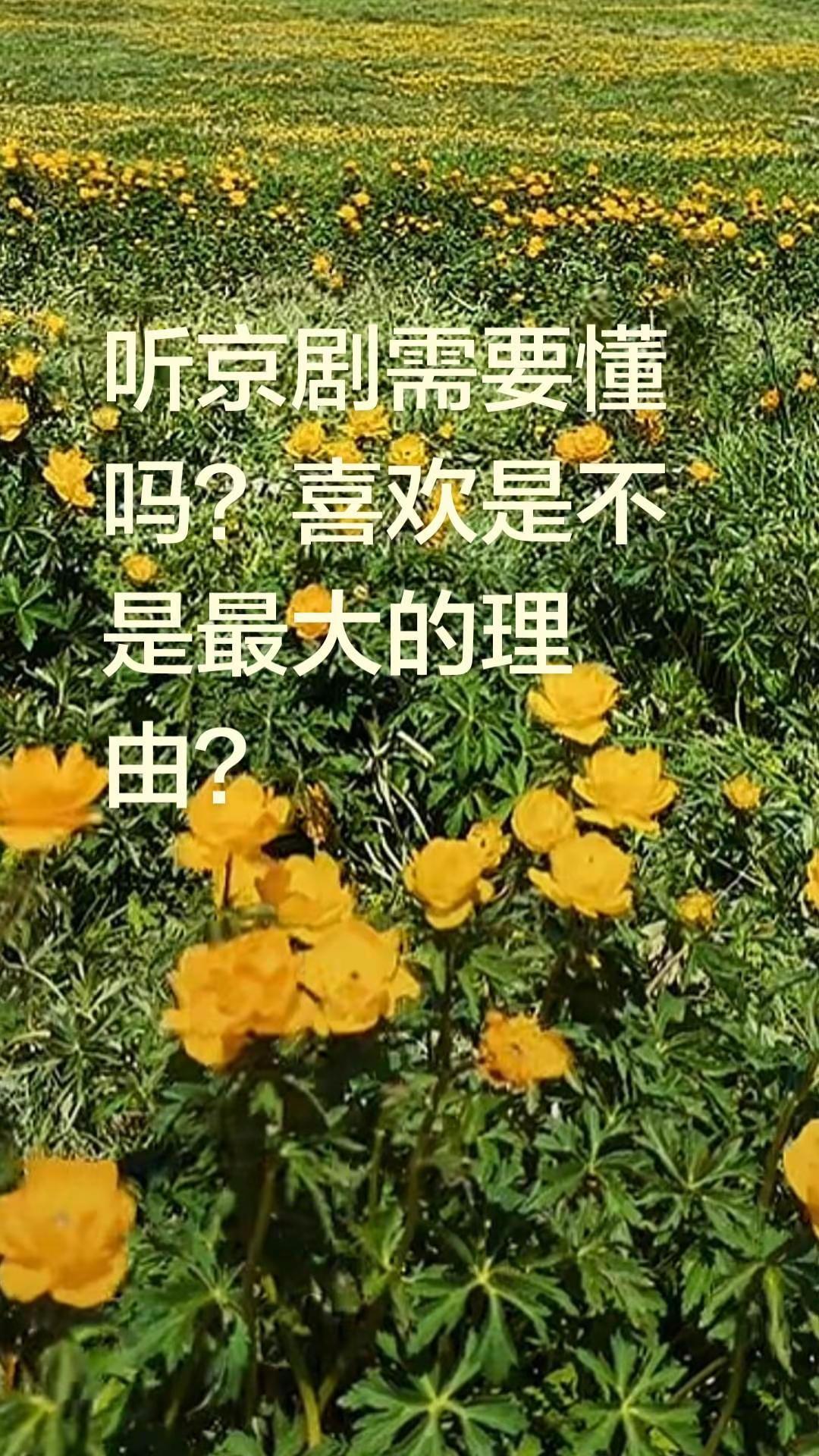 听京剧需要懂吗？喜欢是不是最大的理由？