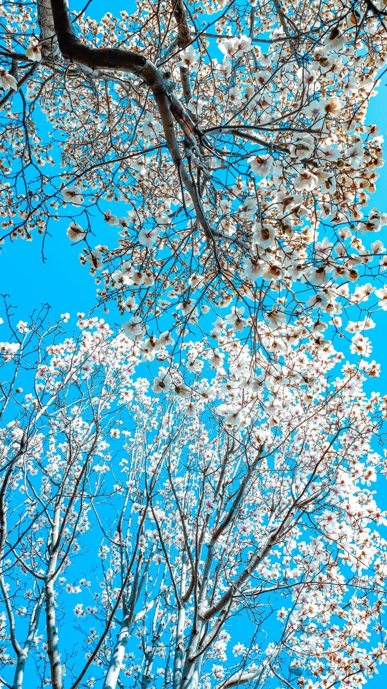 我的今日状态：😁轻松愉快
我这里的天气：☀️晴天