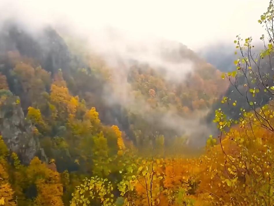 ＃如何用方言表达