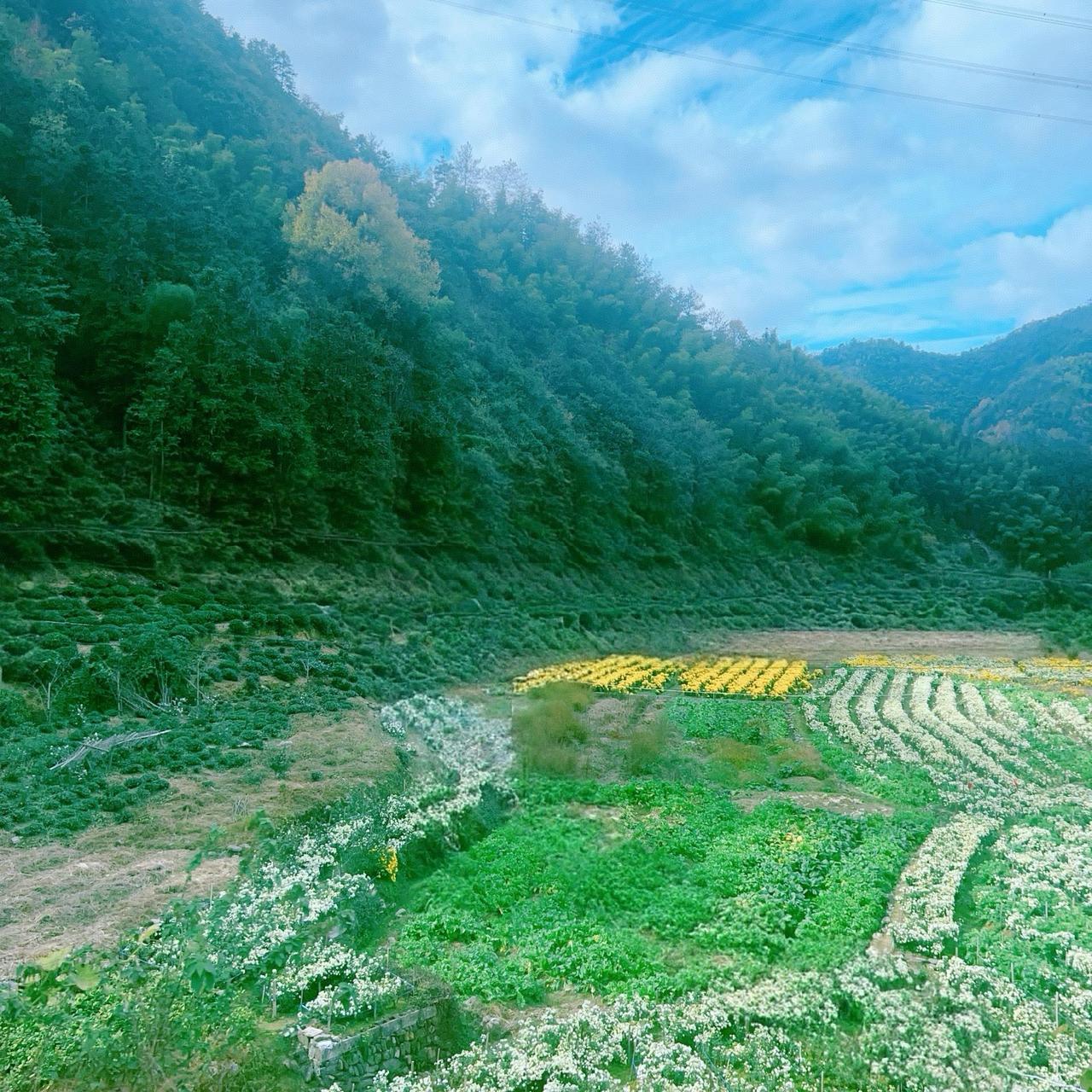 国家治理着实是极为艰难的。我举个特别简单的例子，就说高中双休政策，上面规定得明明