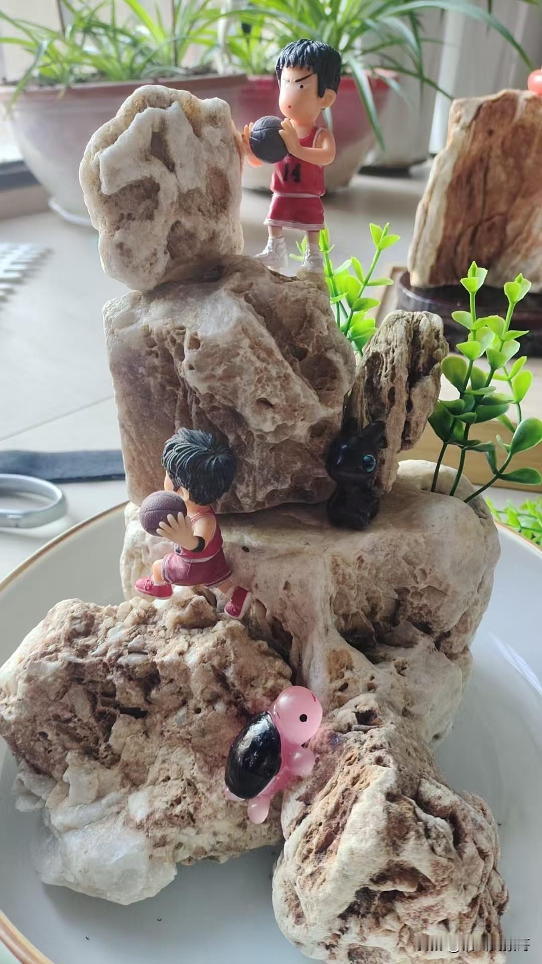 闲来无事，到河边捡了几个石头自己做盆景